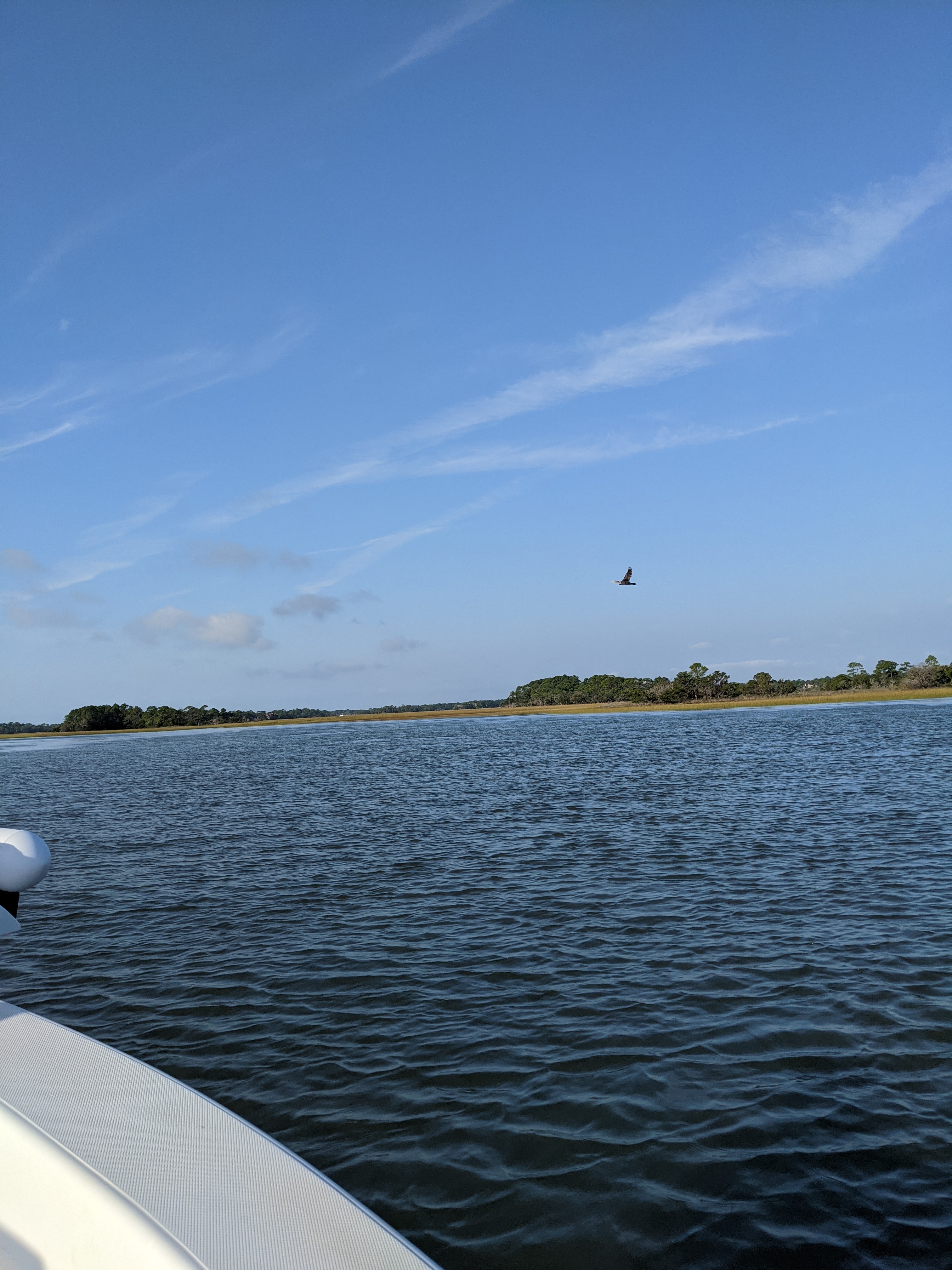 PXL 20201016 131846386