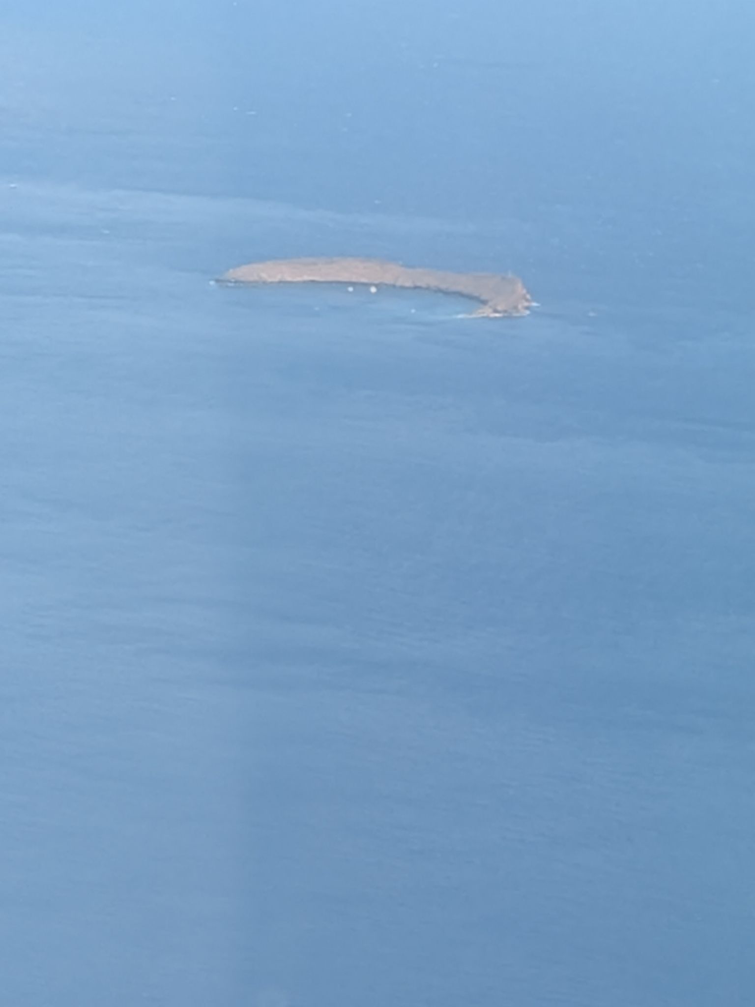 PXL 20260301 002448364