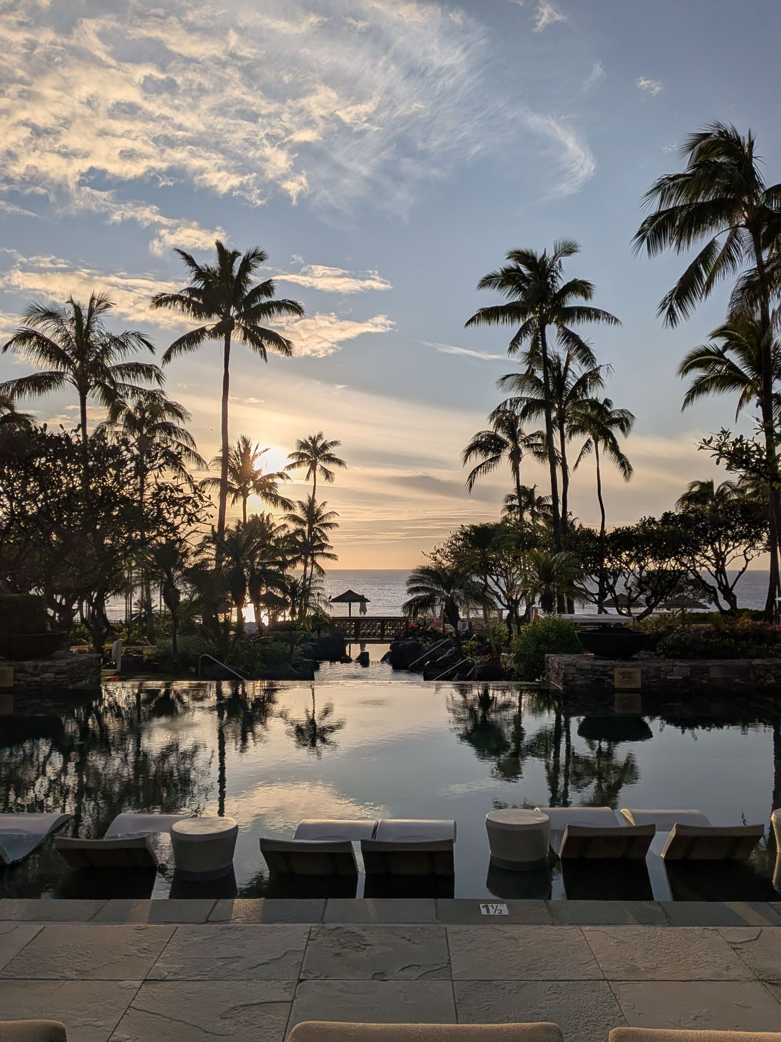 PXL 20260301 040046622