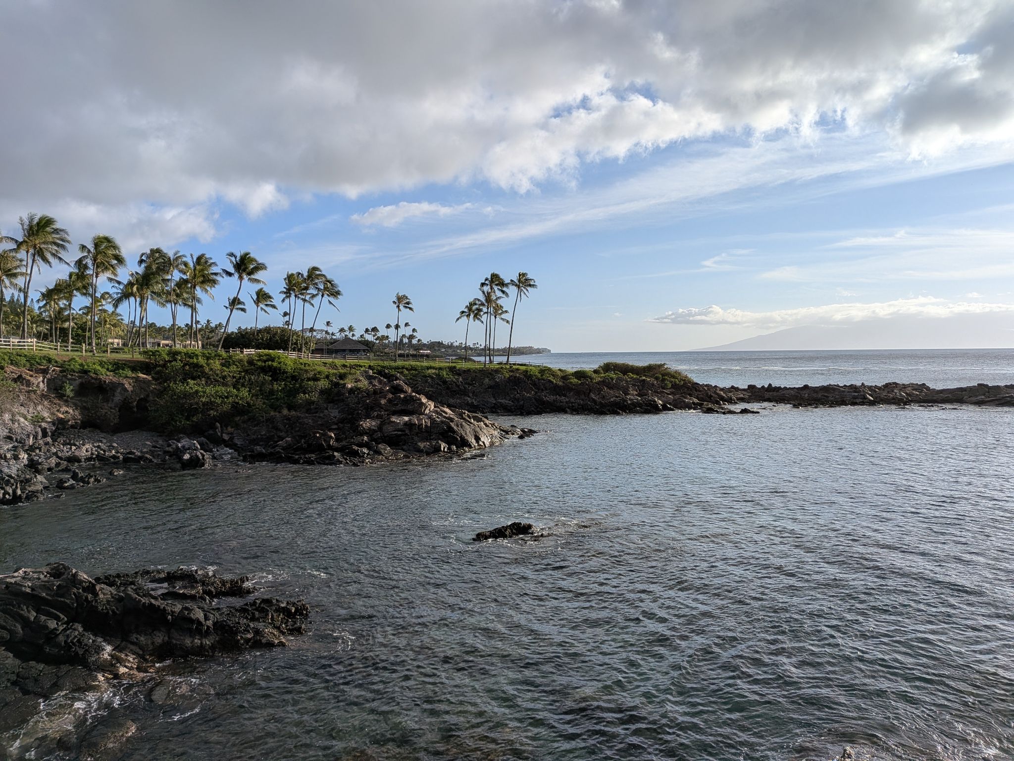 PXL 20260304 032036343.MP