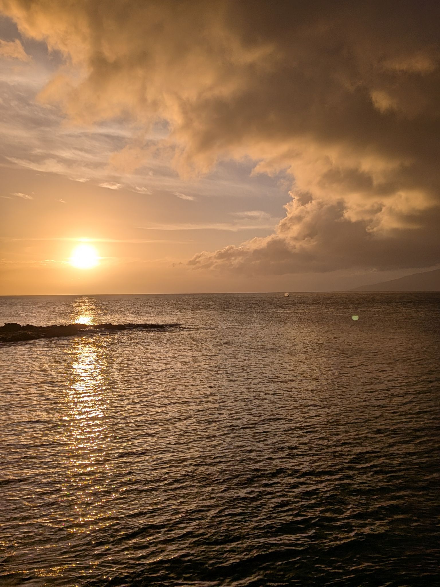 PXL 20260304 041541567