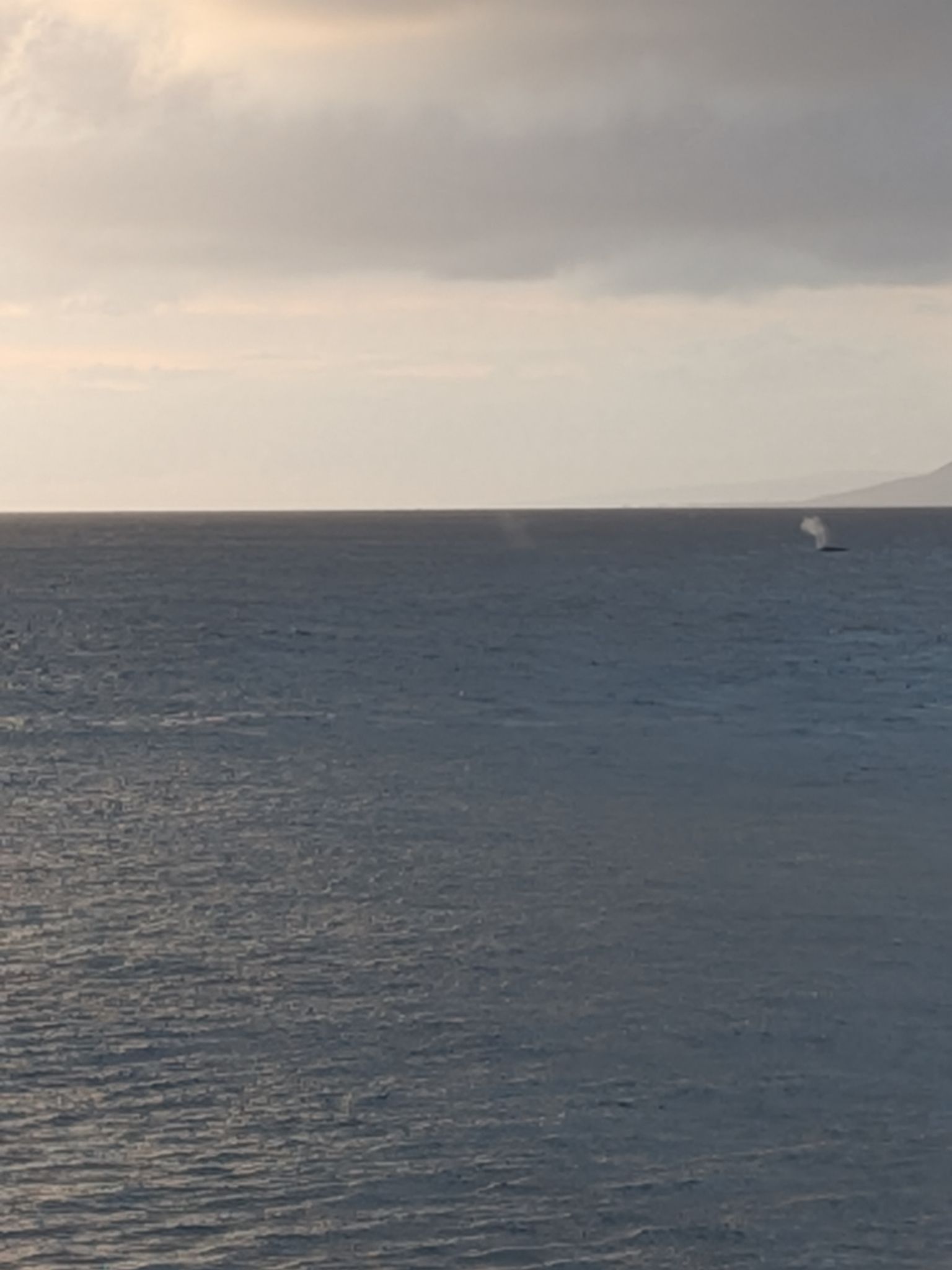 PXL 20260304 041923401