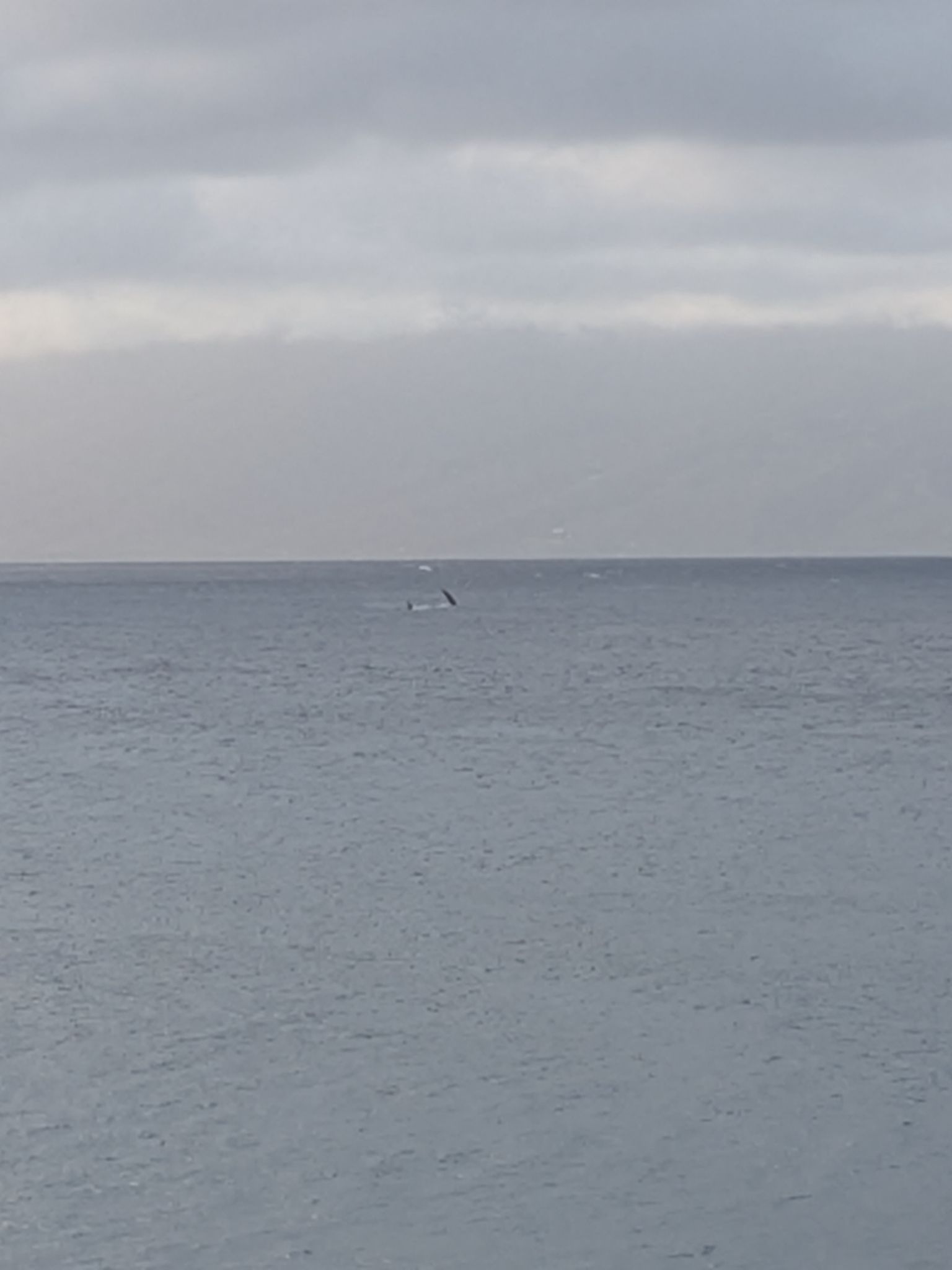 PXL 20260304 042335649