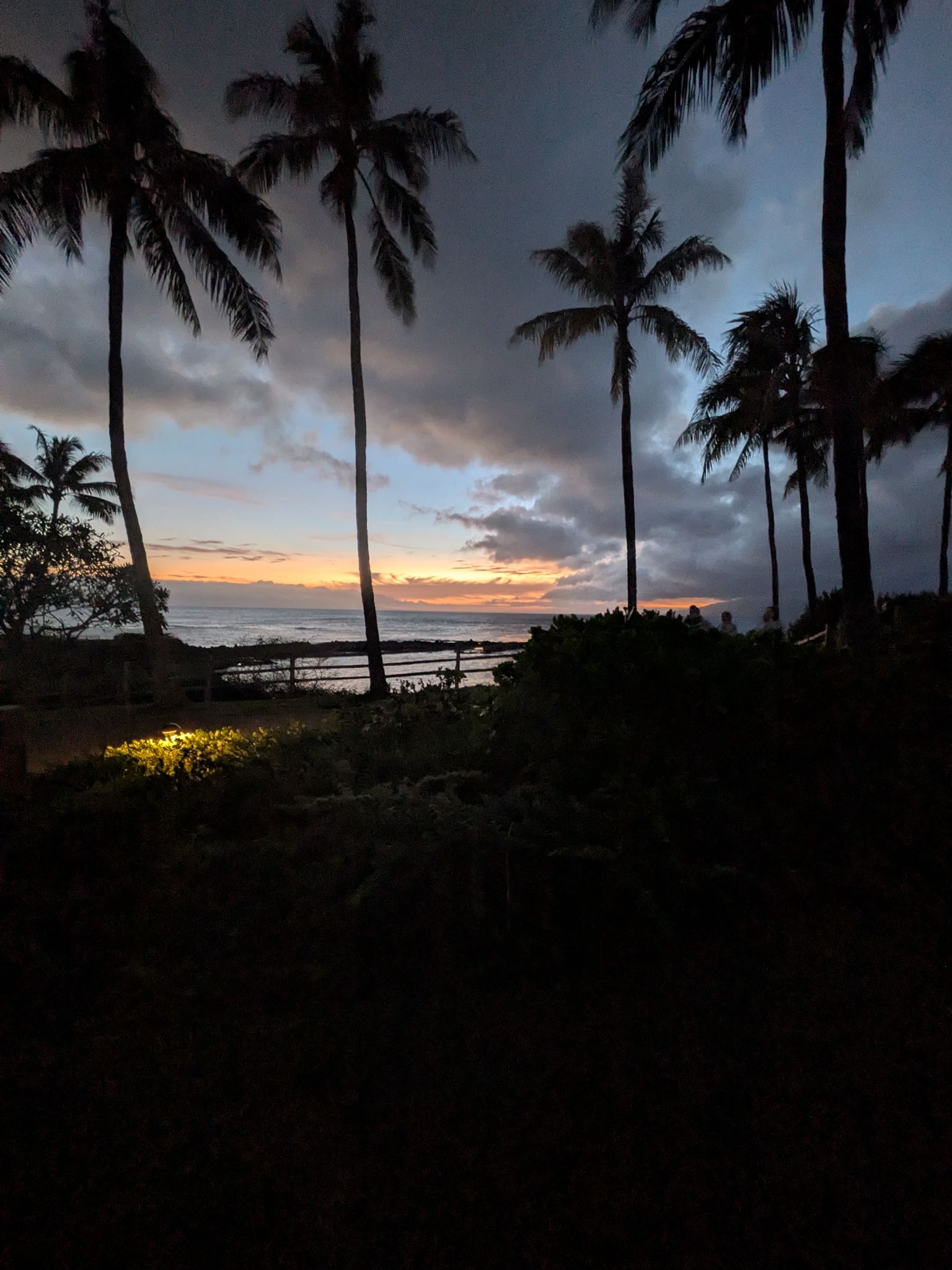 PXL 20260304 045706886