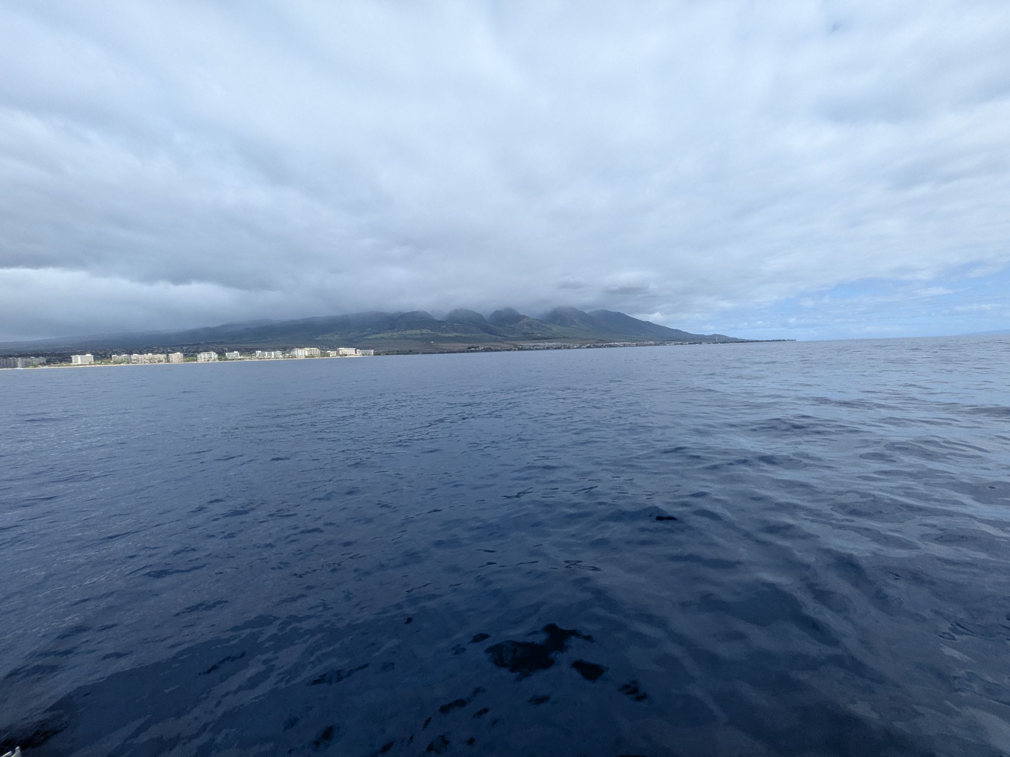 PXL 20260305 011738652