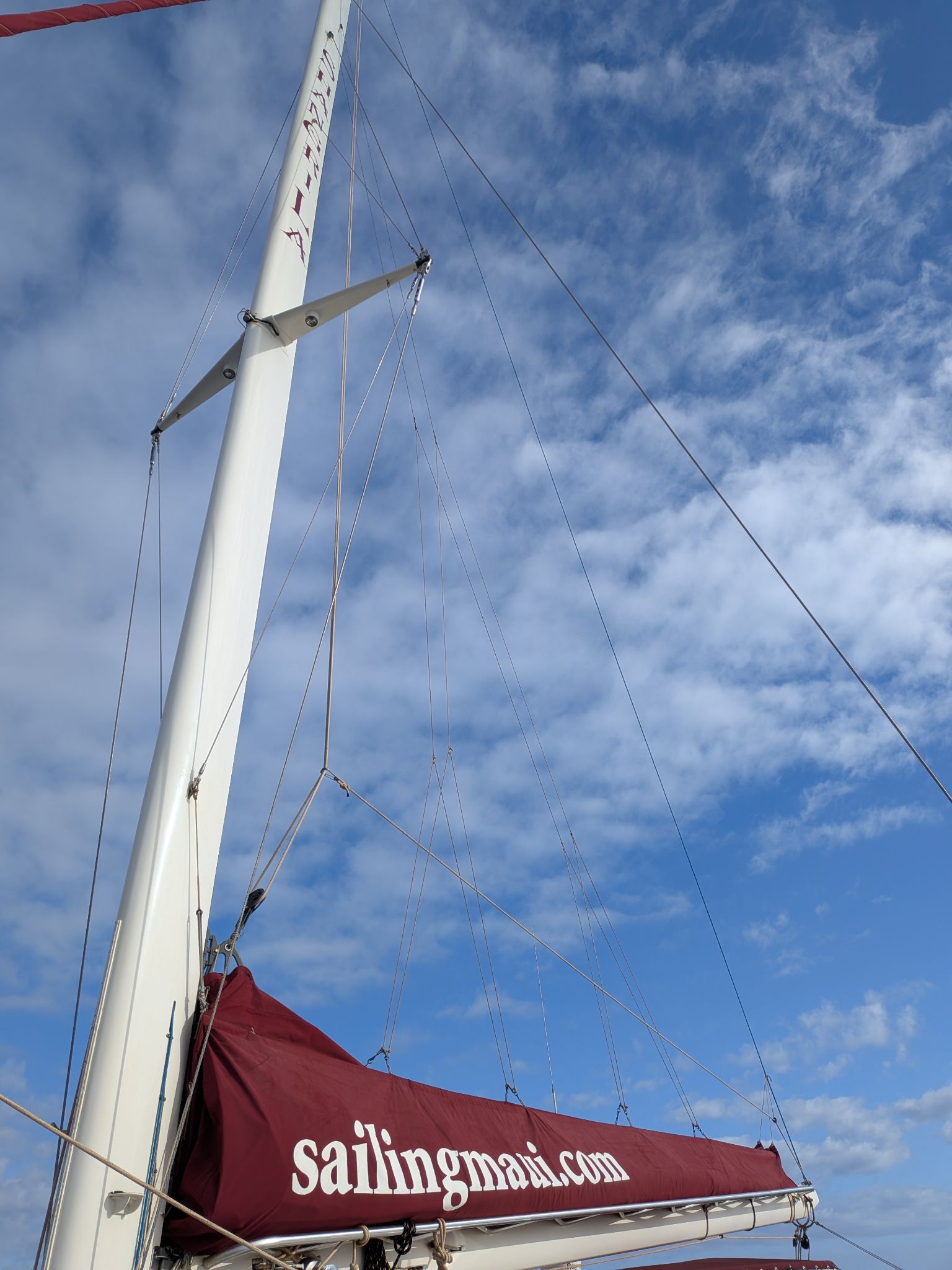 PXL 20260305 023713155