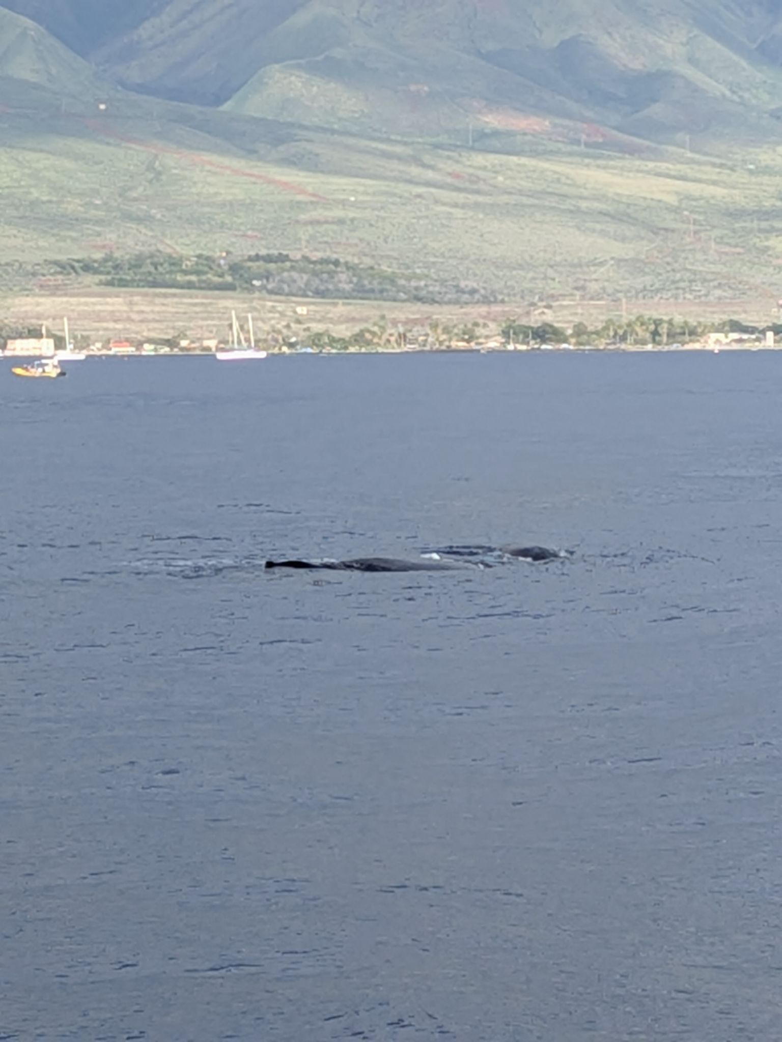 PXL 20260305 031701176