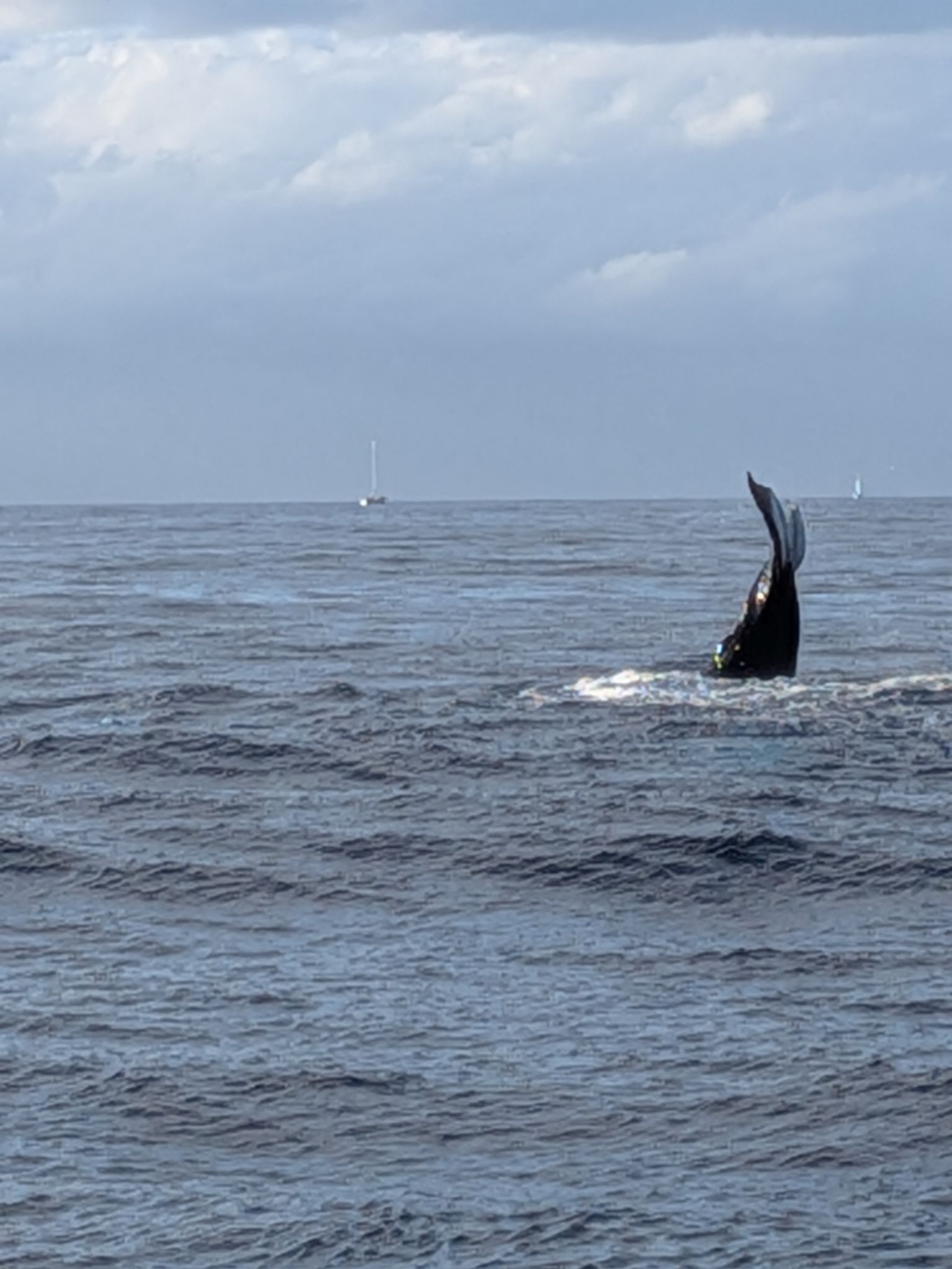 PXL 20260305 032953903