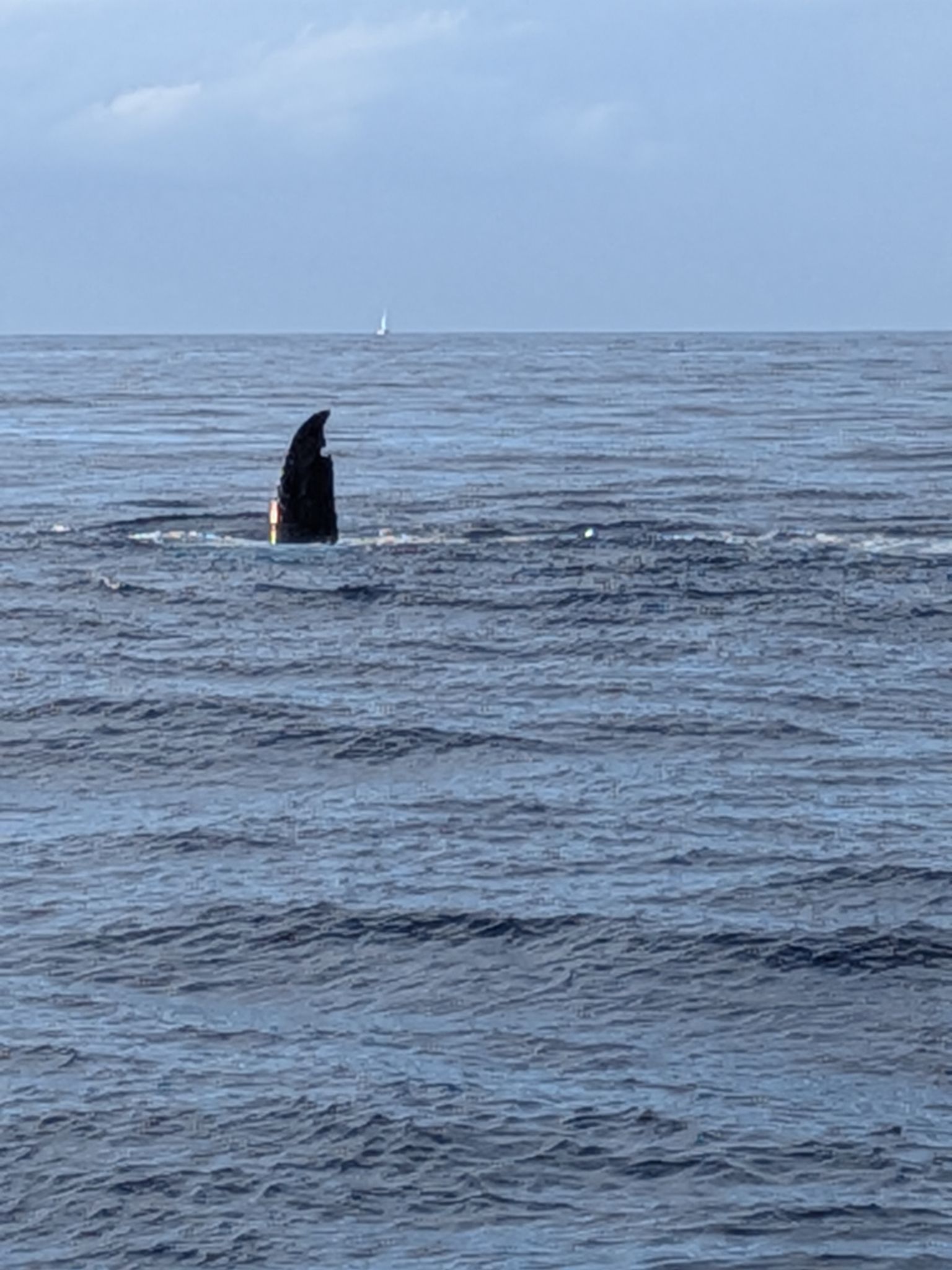 PXL 20260305 032957100