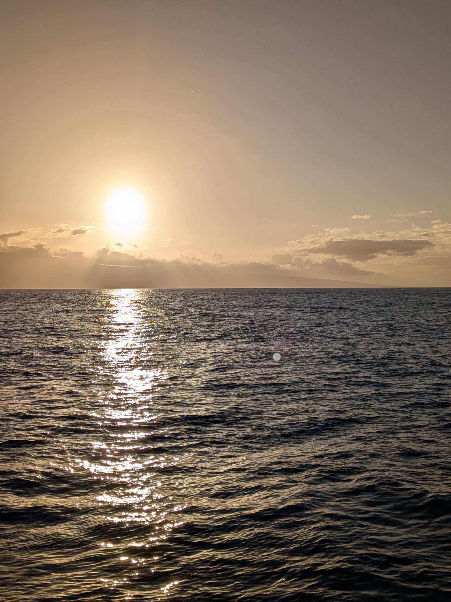 PXL 20260305 040513946.MP