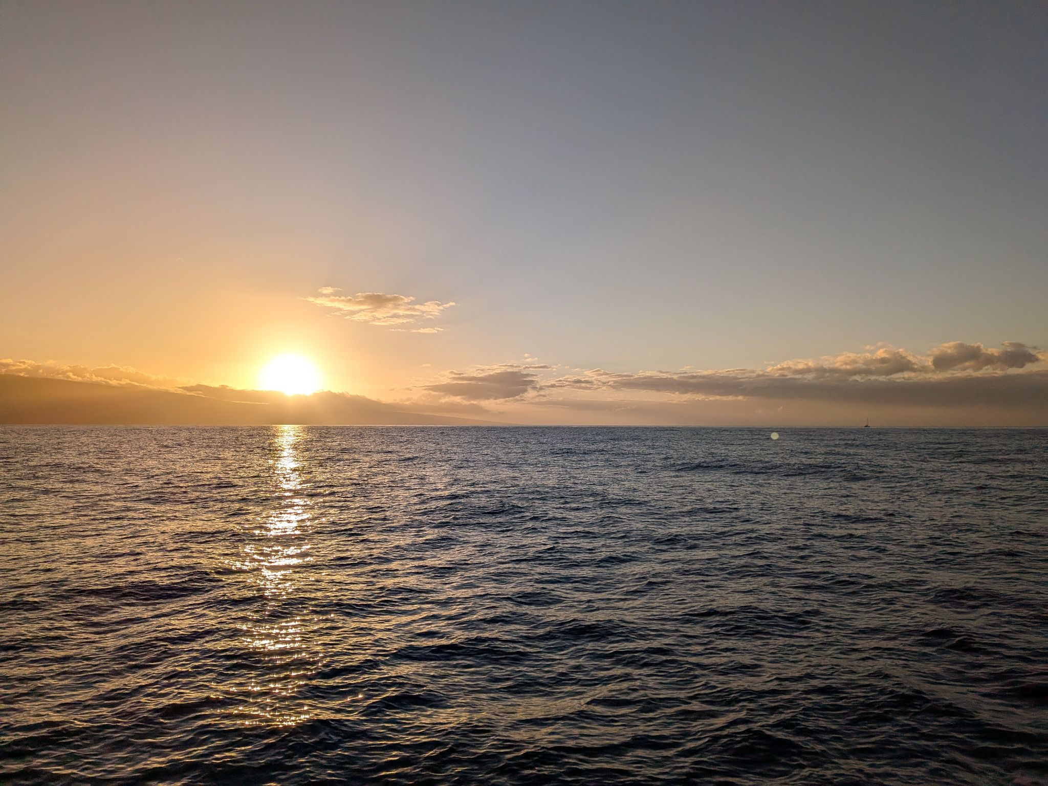 PXL 20260305 041411112.MP