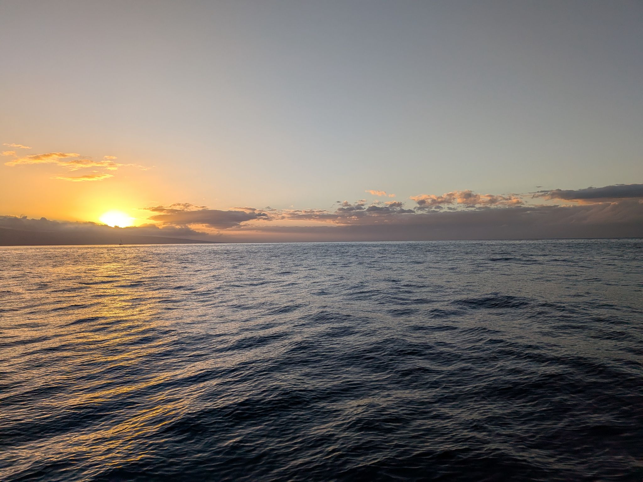 PXL 20260305 042226919.MP