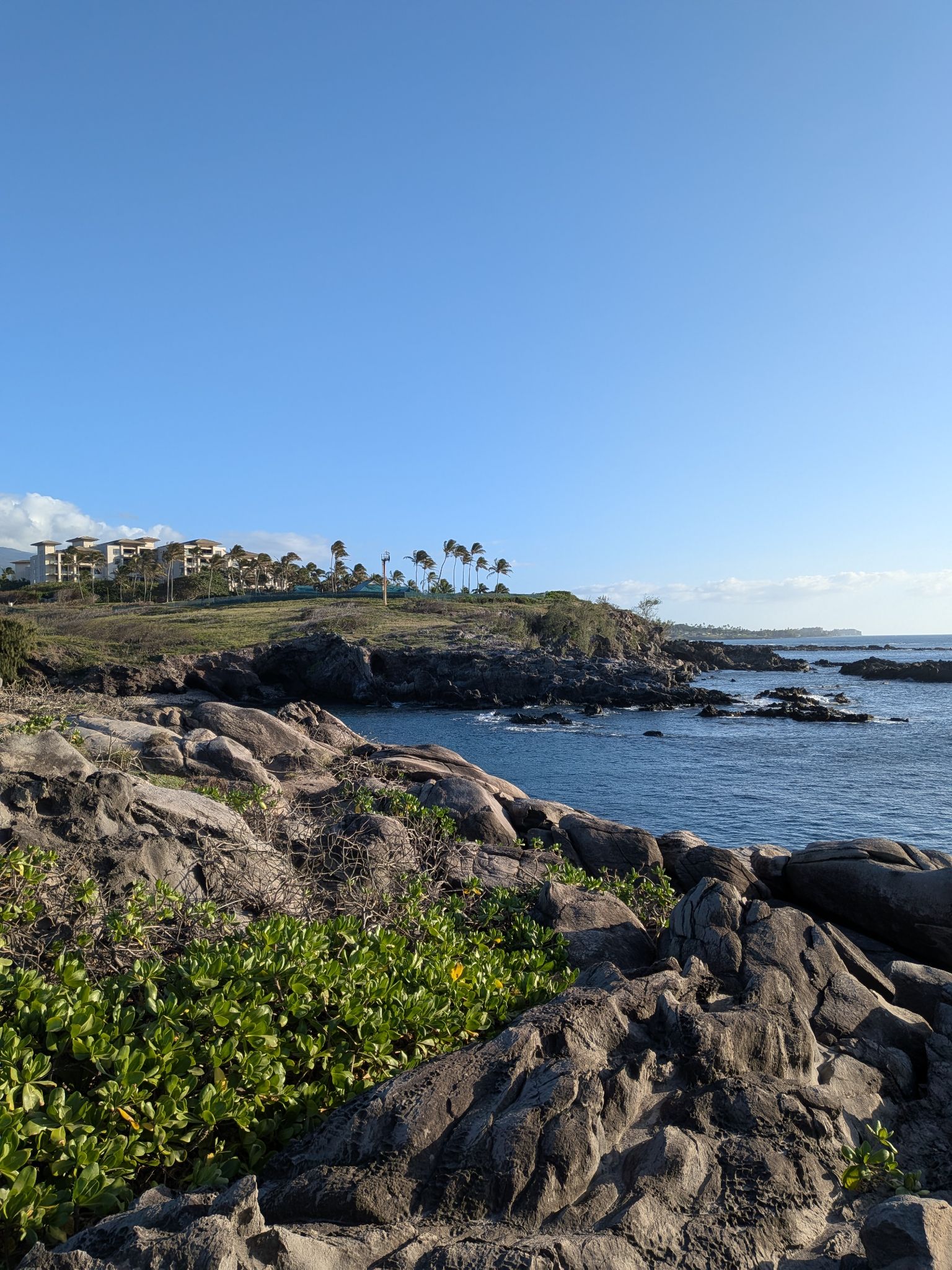 PXL 20260306 032104822