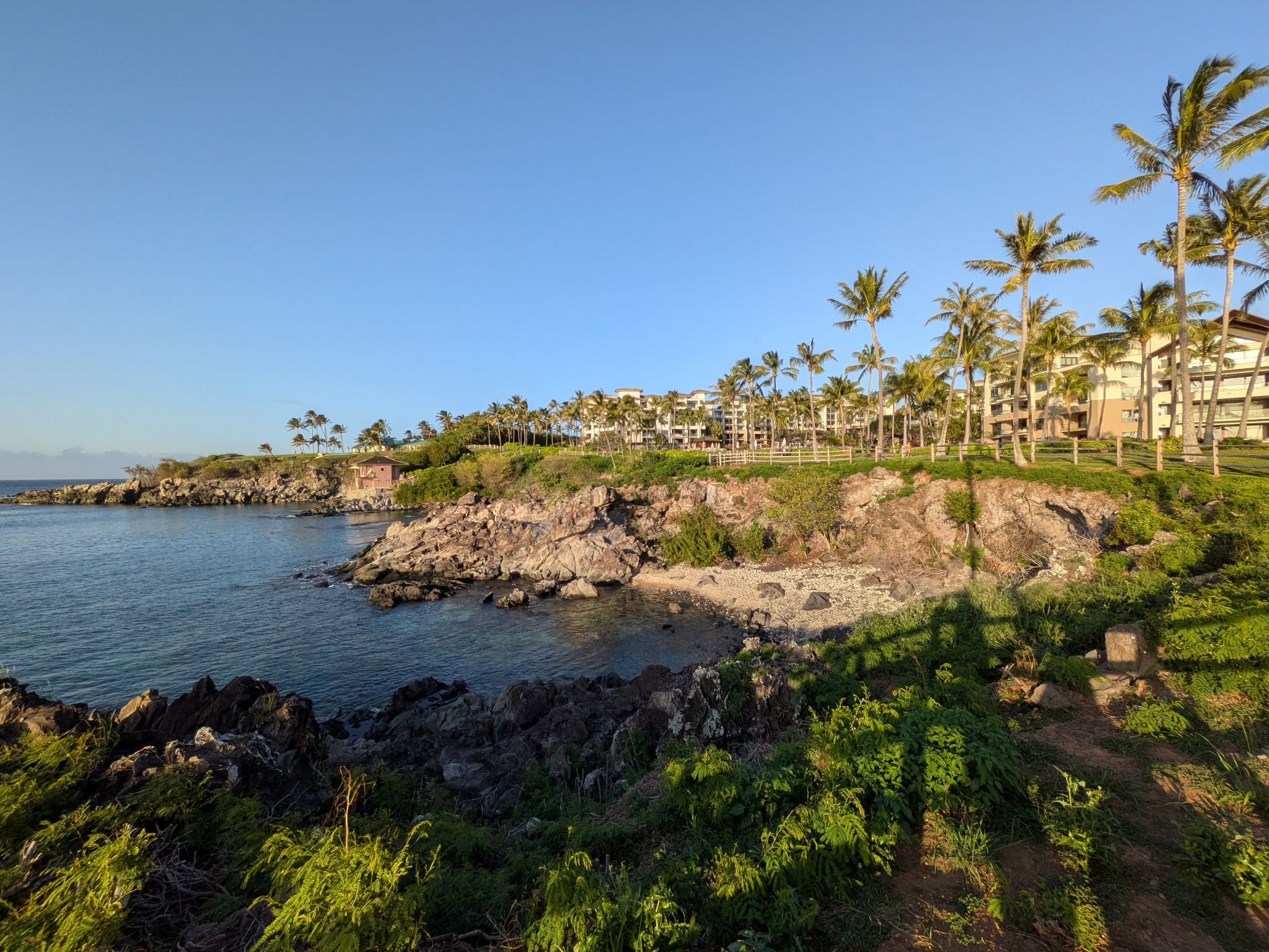 PXL 20260306 033728918