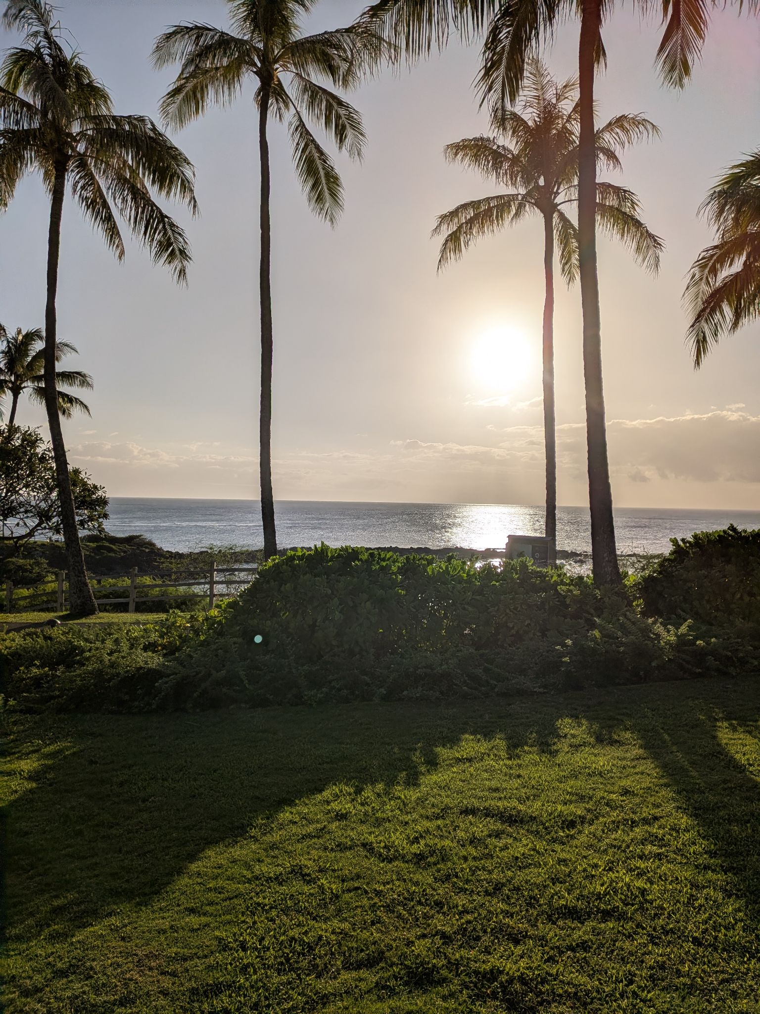 PXL 20260306 034017133