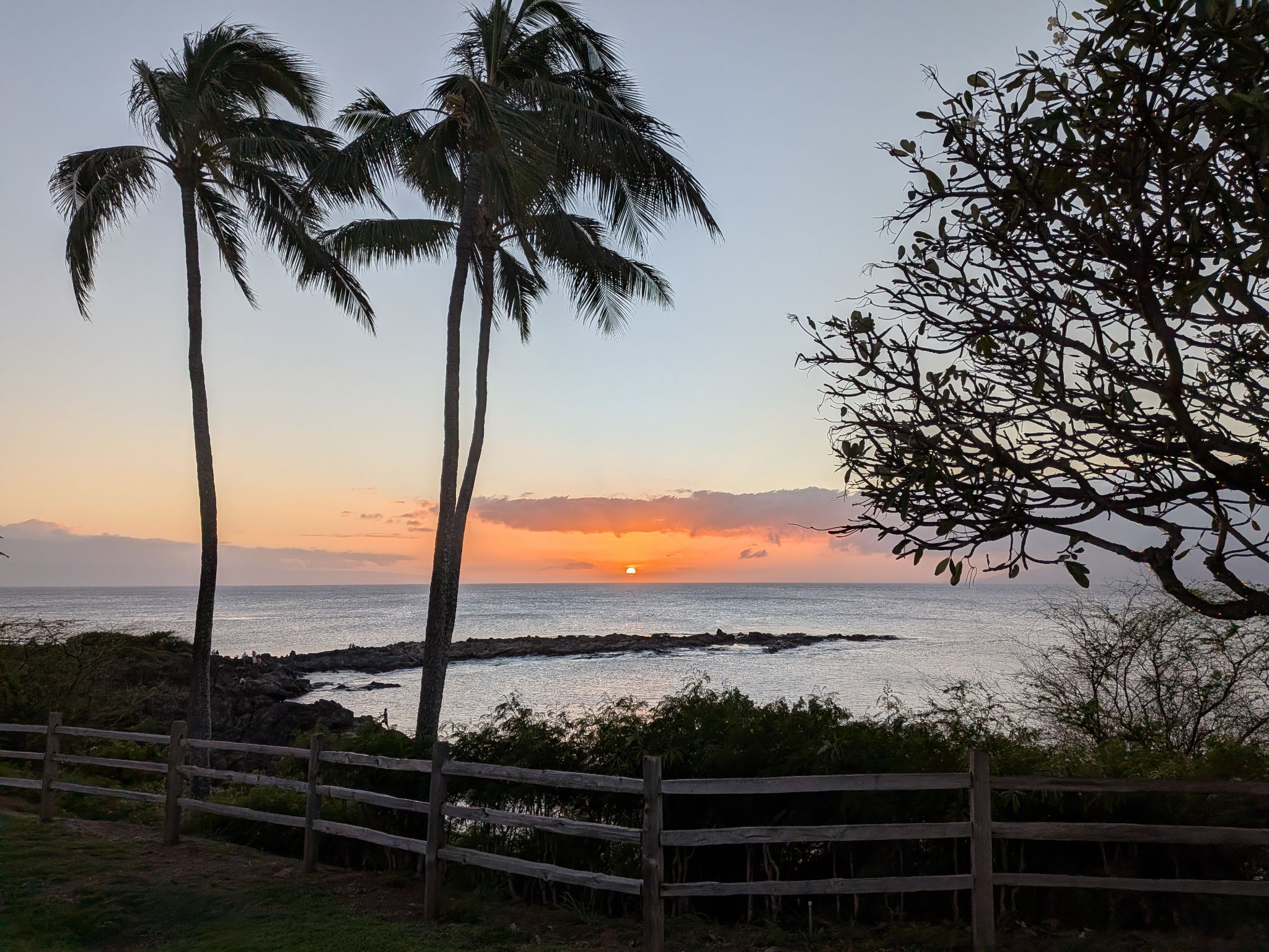 PXL 20260306 042843115