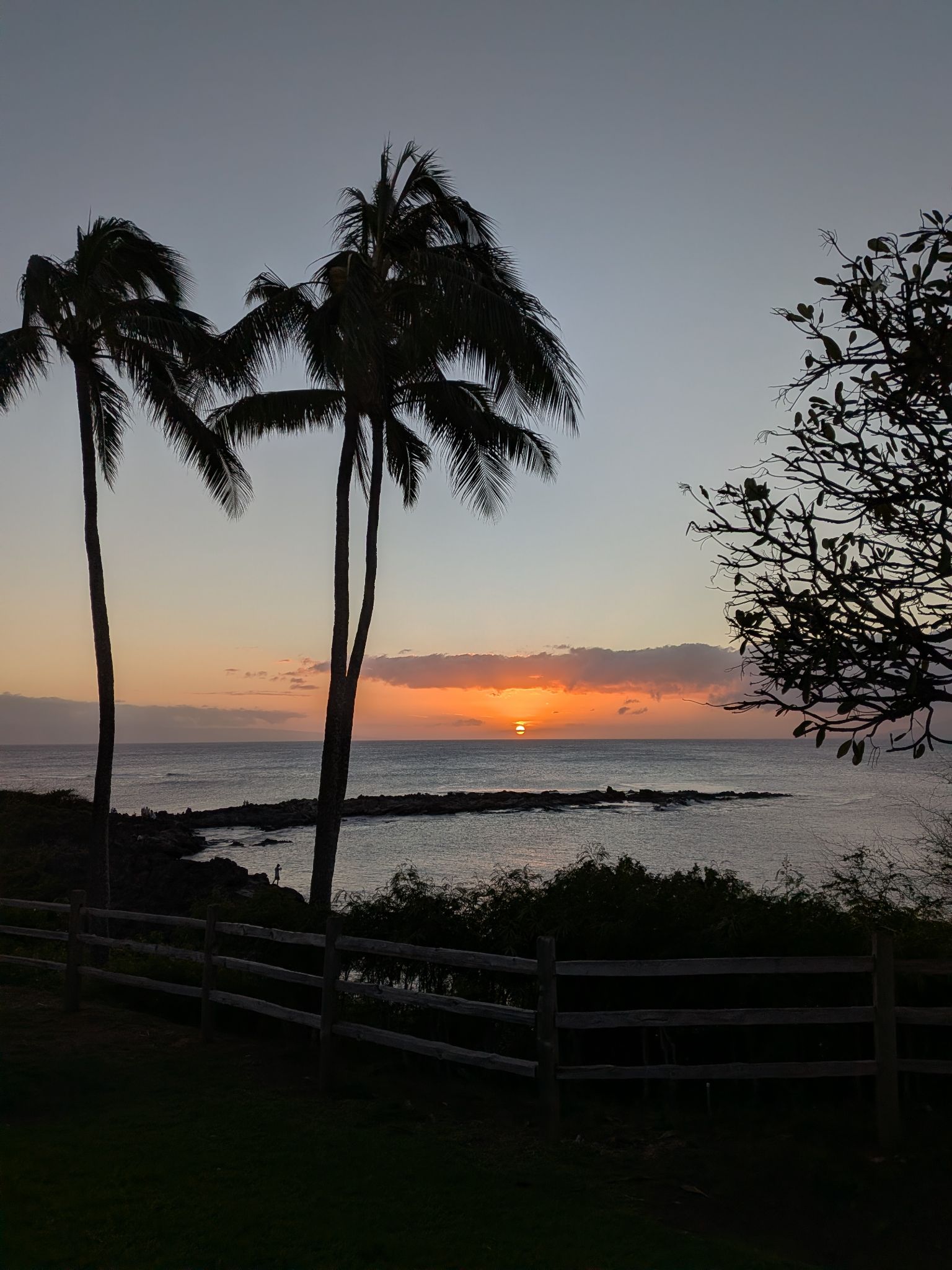 PXL 20260306 042915697