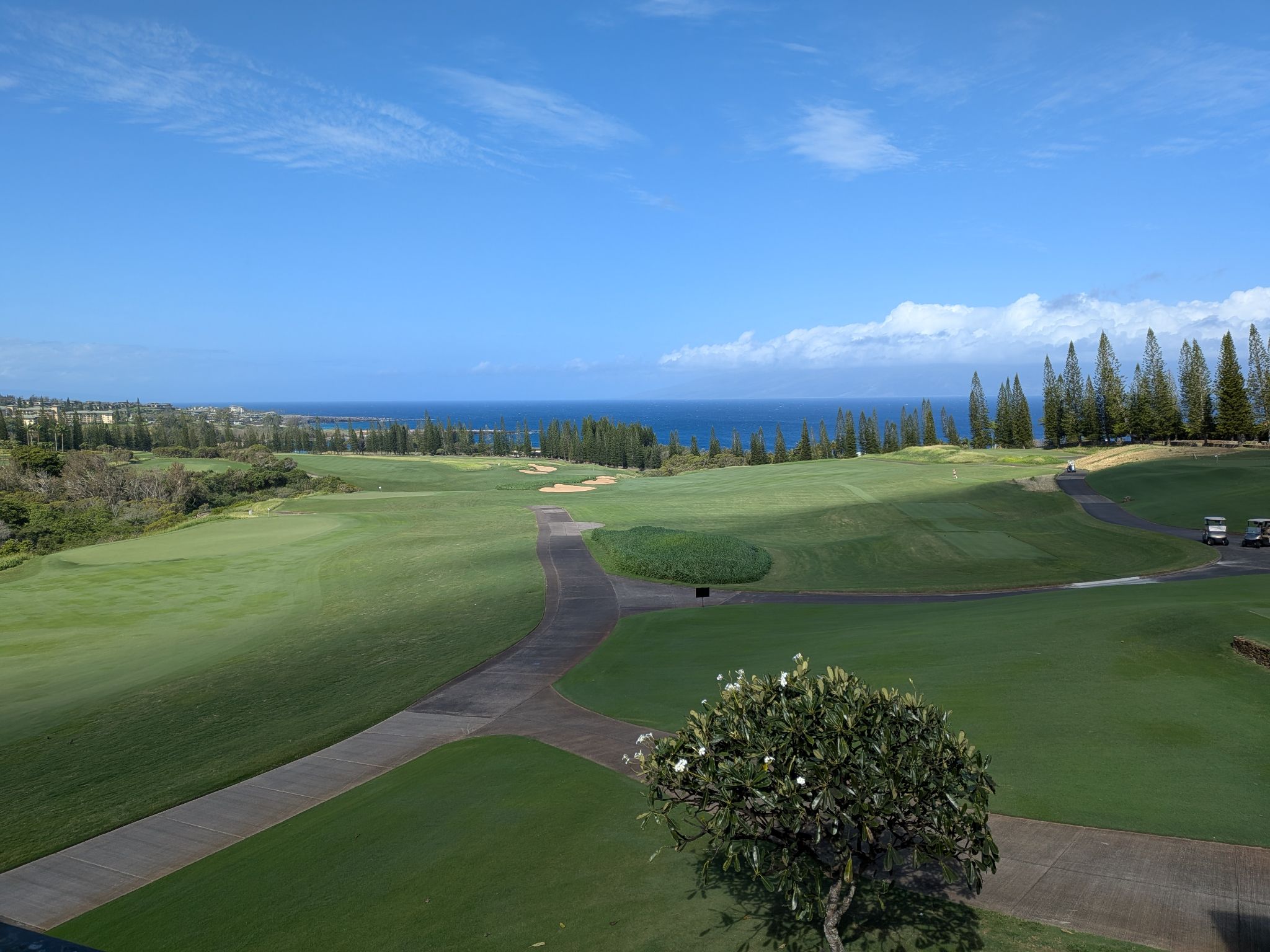 PXL 20260306 200659843