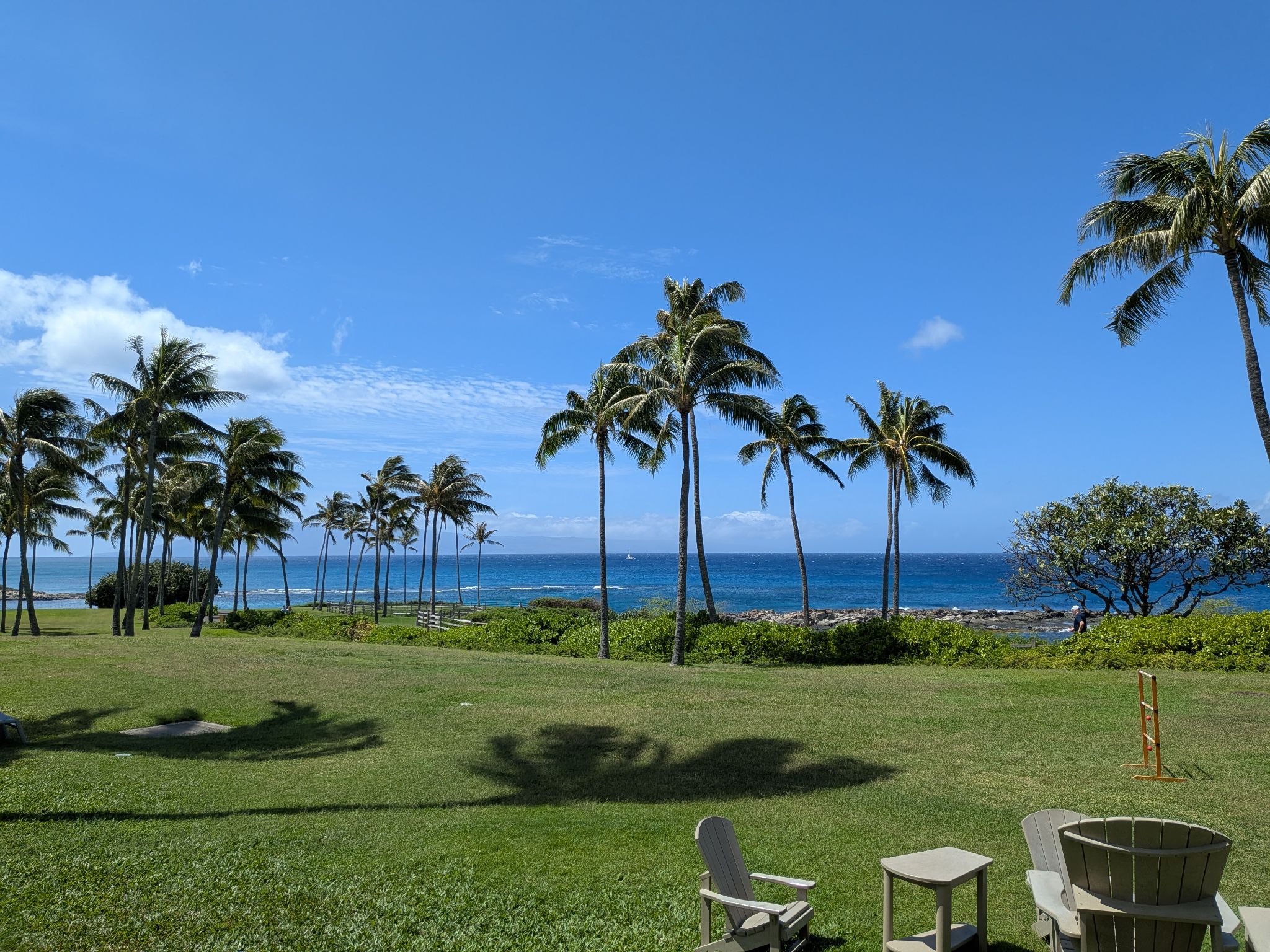 PXL 20260307 220219834