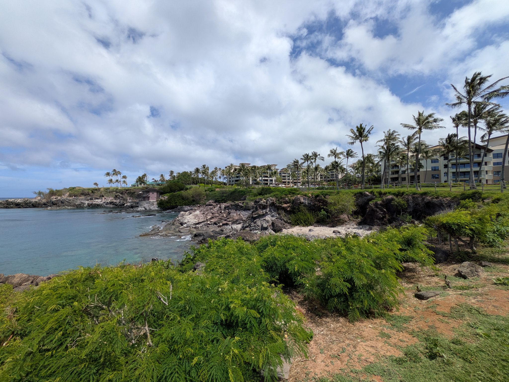 PXL 20260307 223204924