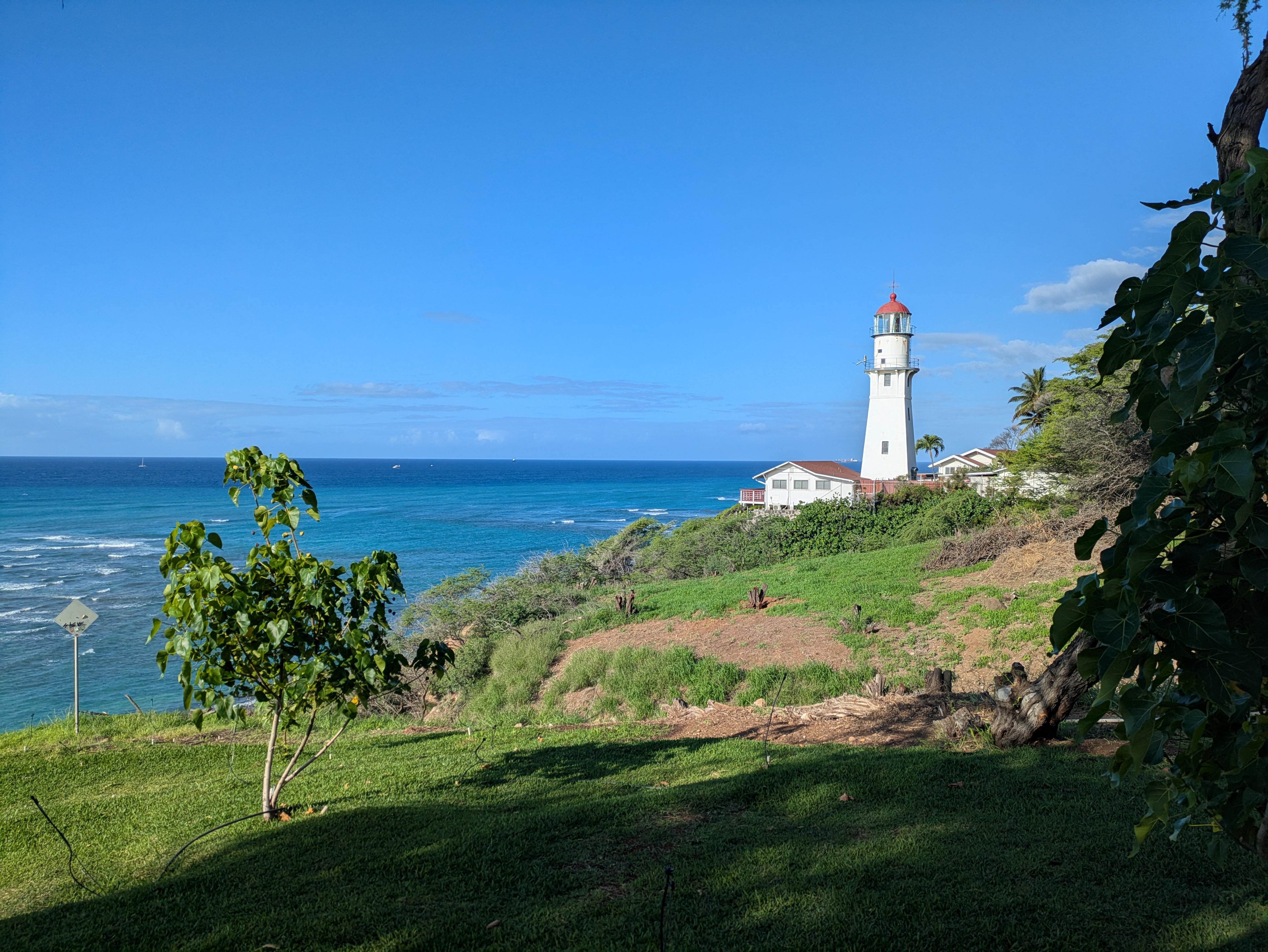 PXL 20250221 185624095