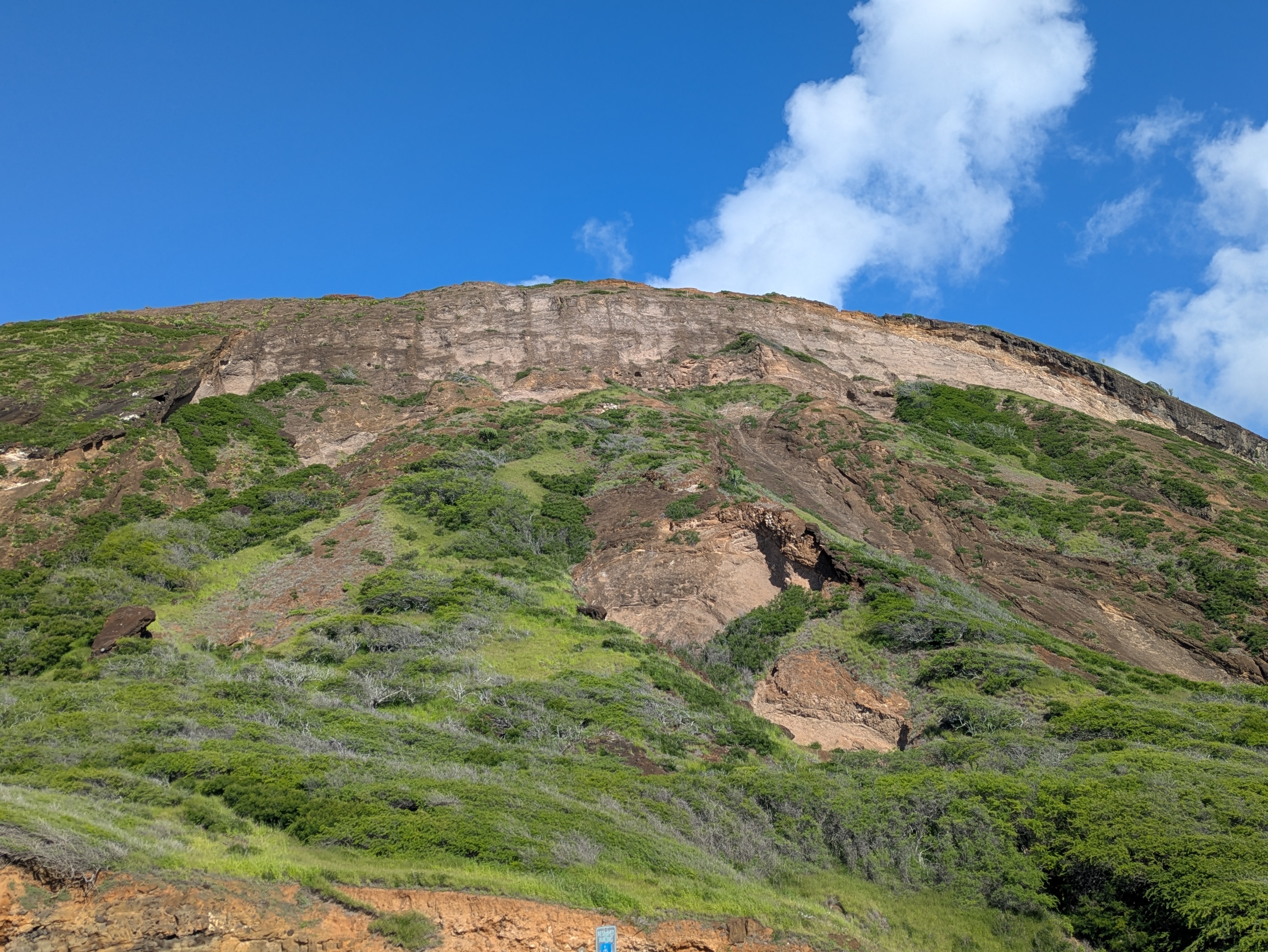 PXL 20250221 195743940