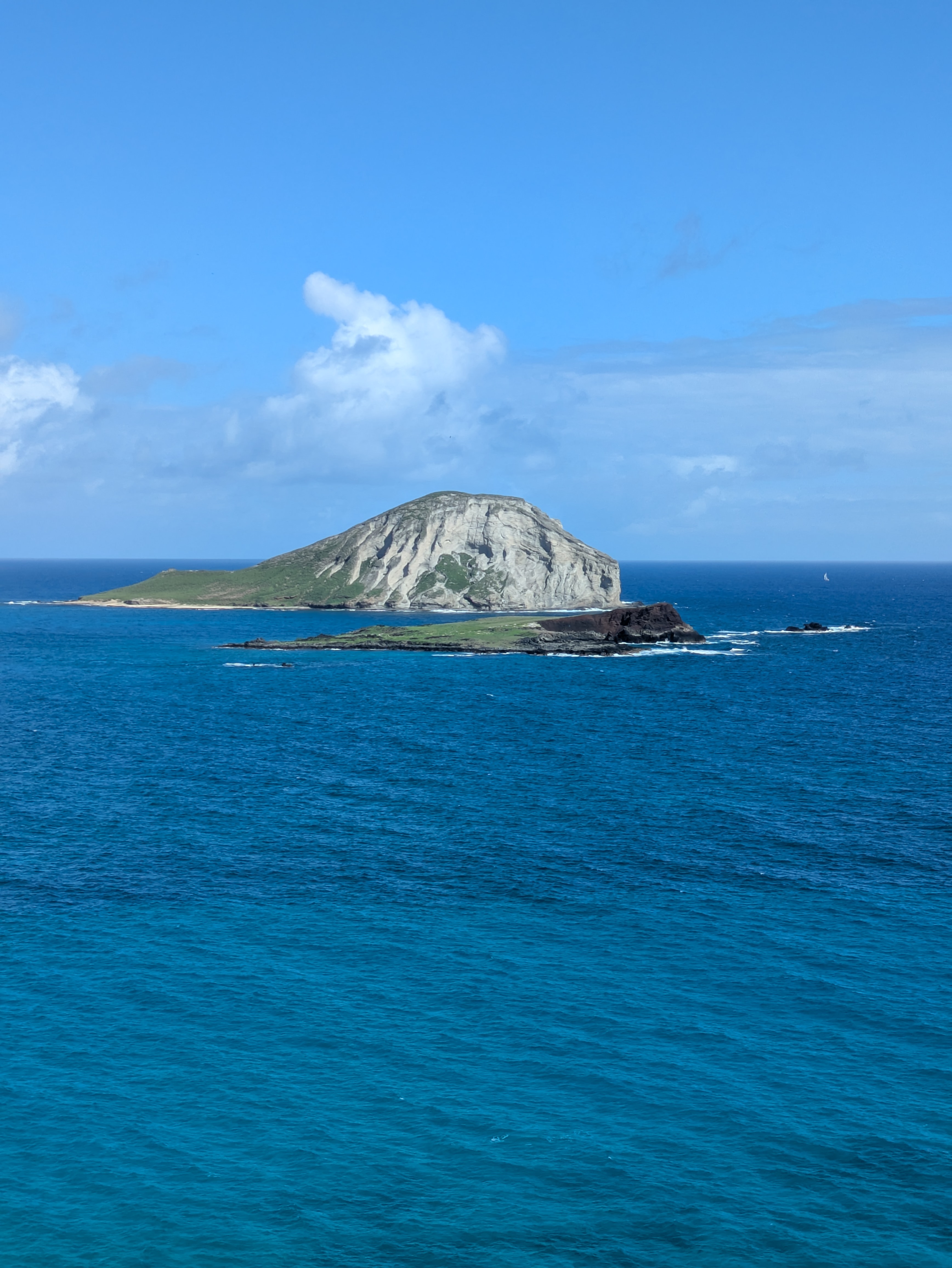 PXL 20250221 201638638