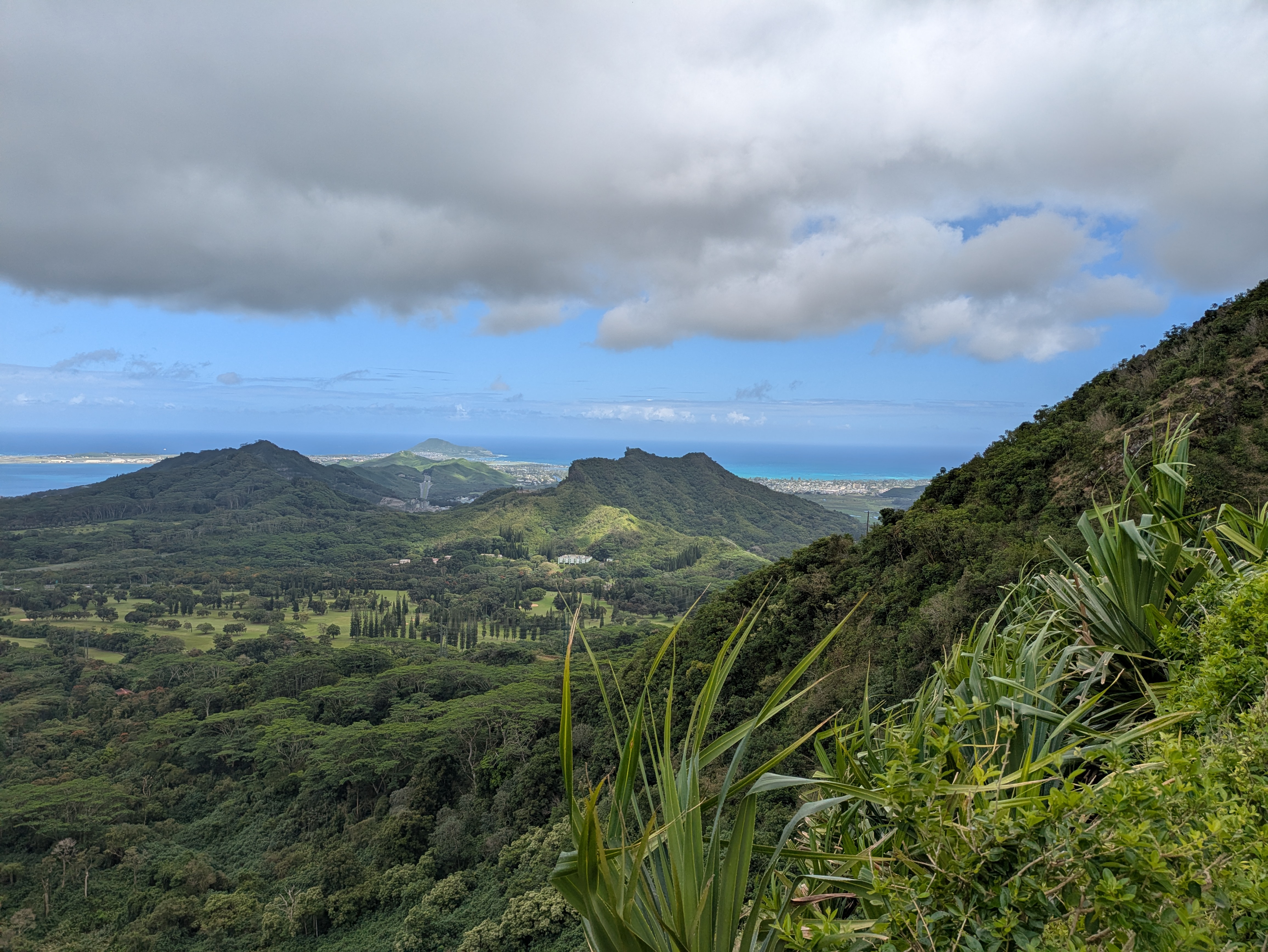 PXL 20250221 215942155