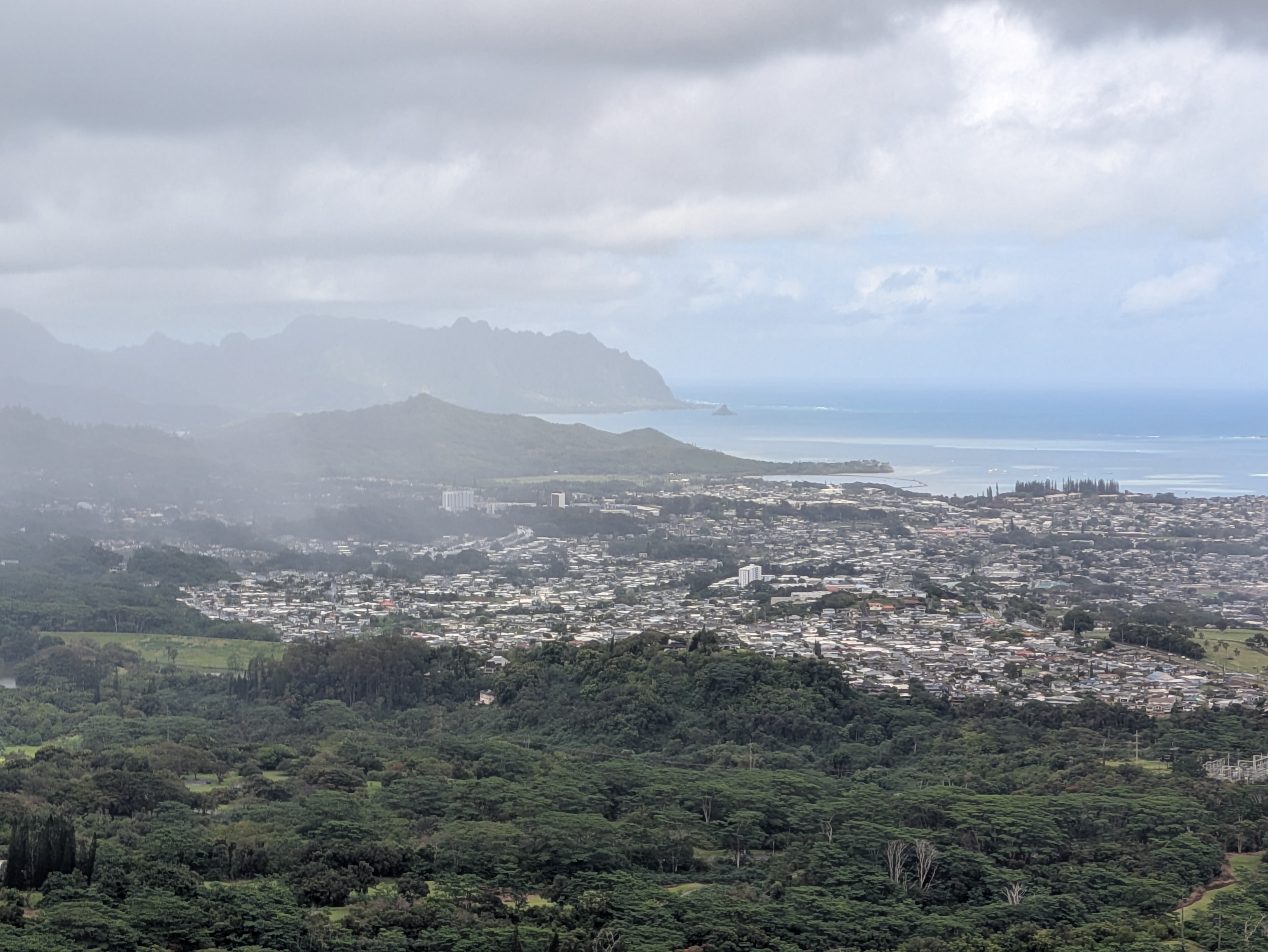 PXL 20250221 220111347