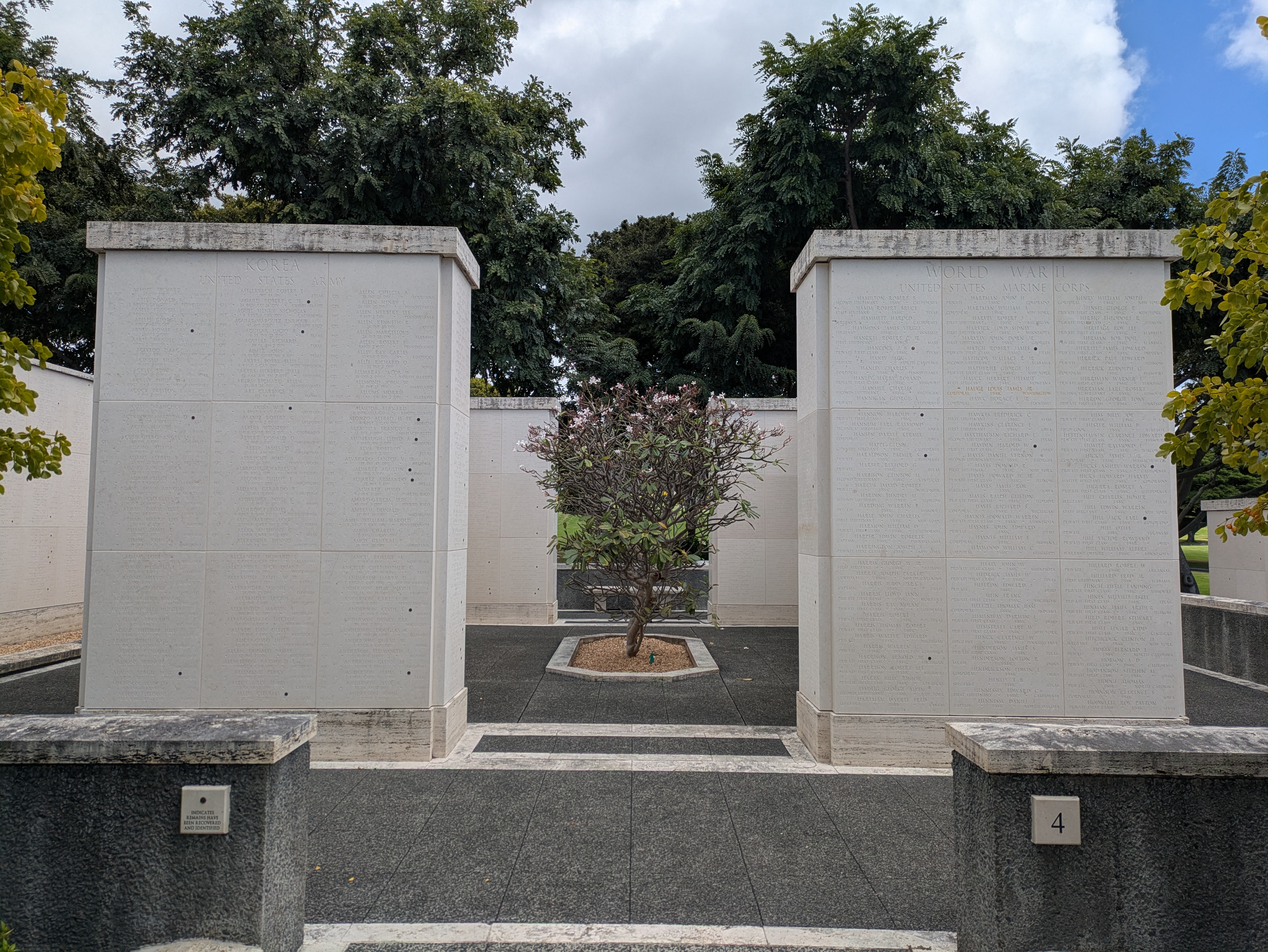 PXL 20250221 222359413