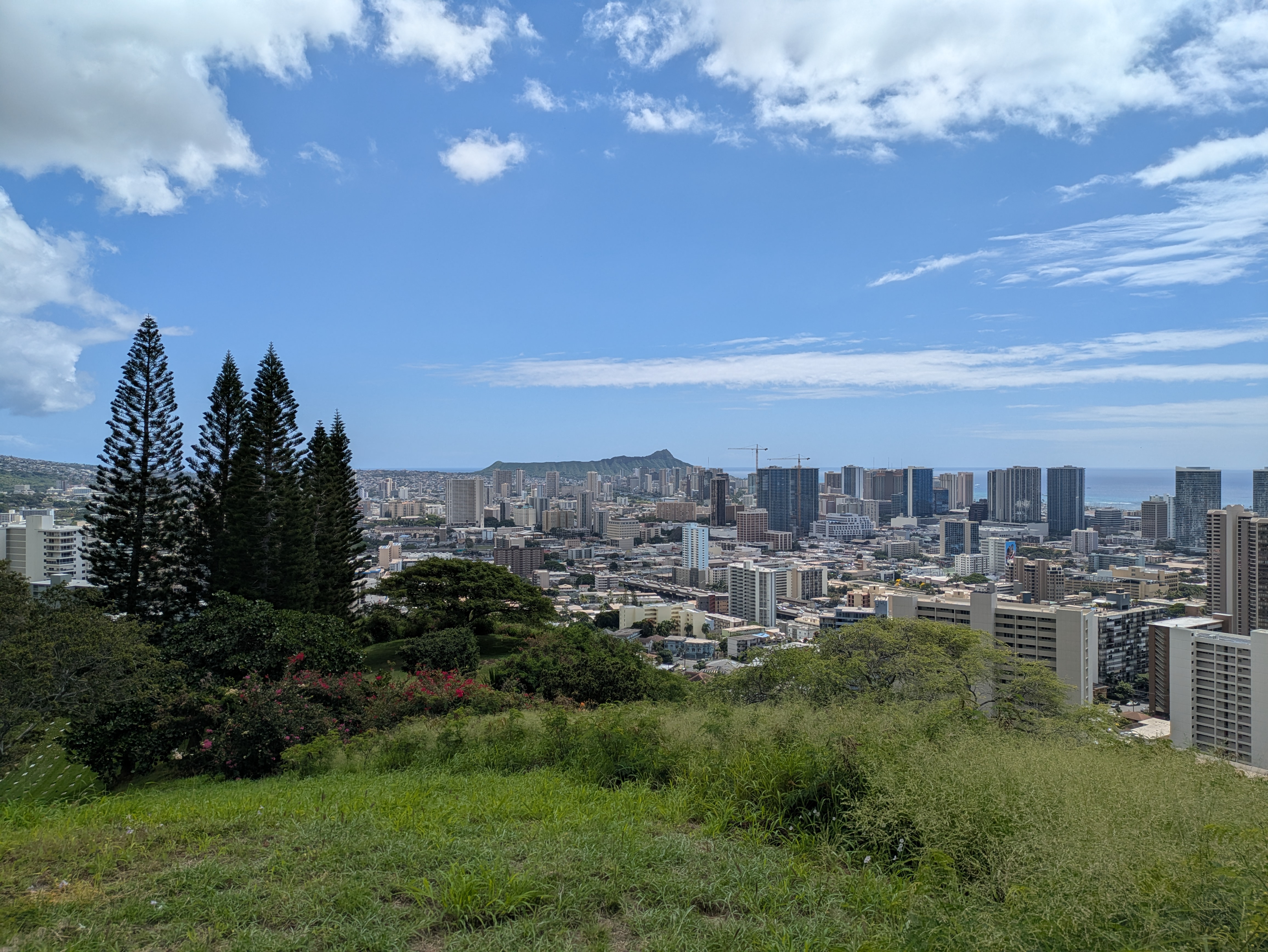 PXL 20250221 225003607