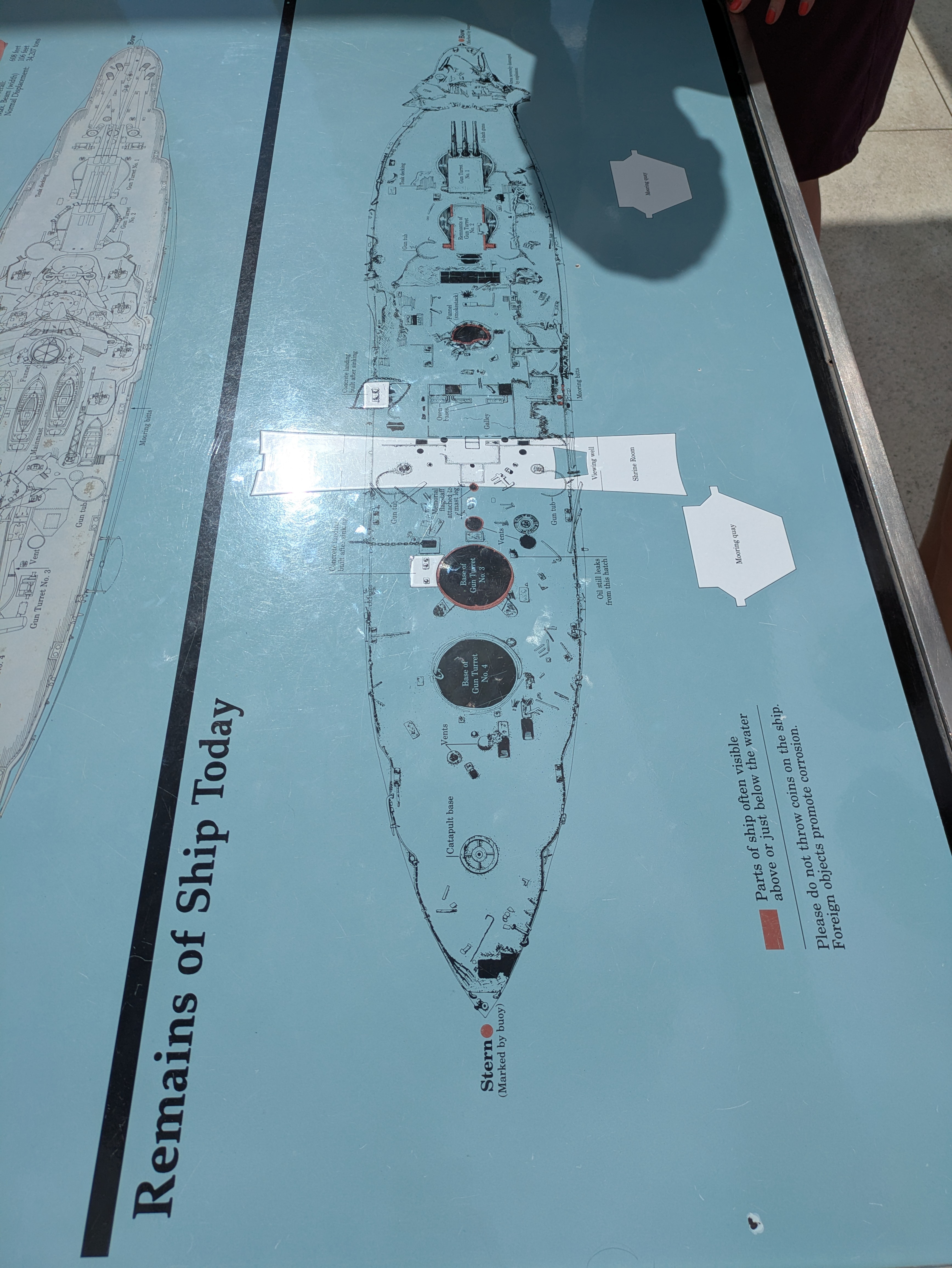 PXL 20250222 003147355.MP