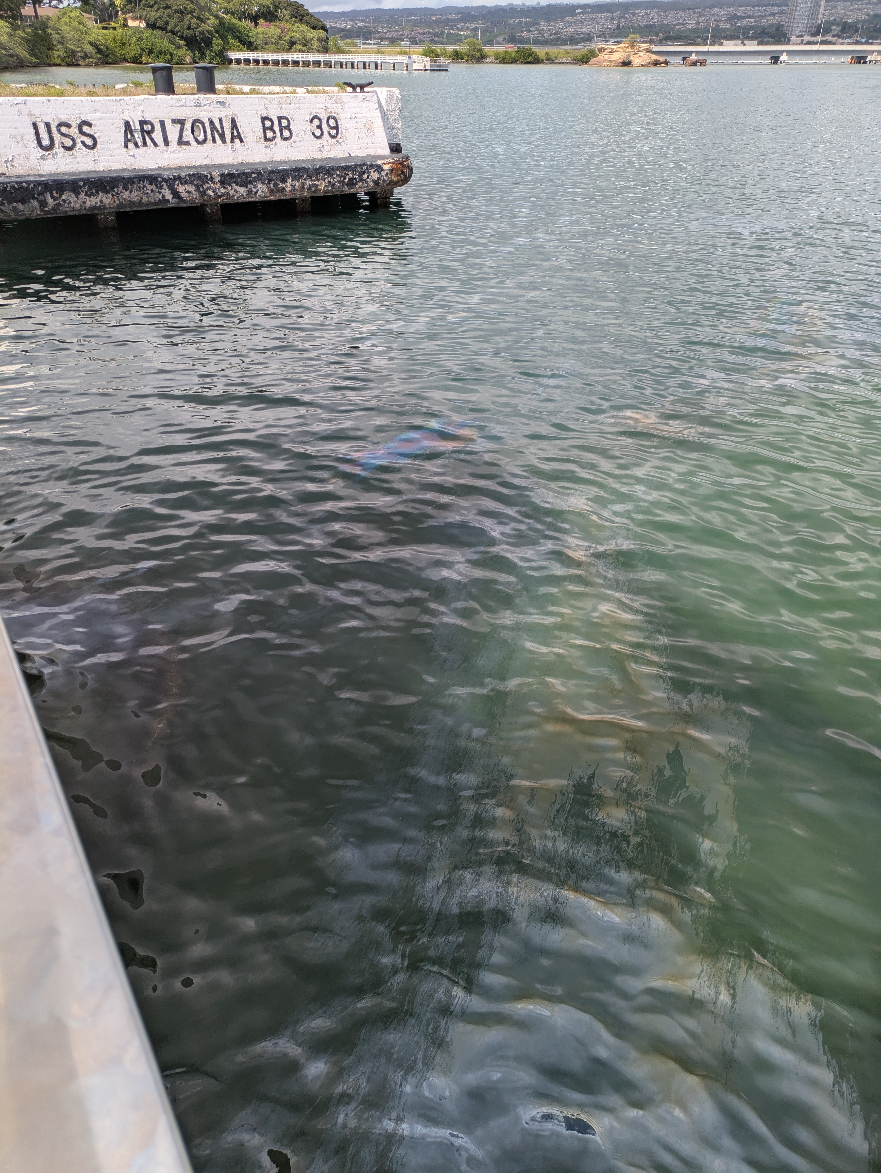 PXL 20250222 003225344.MP