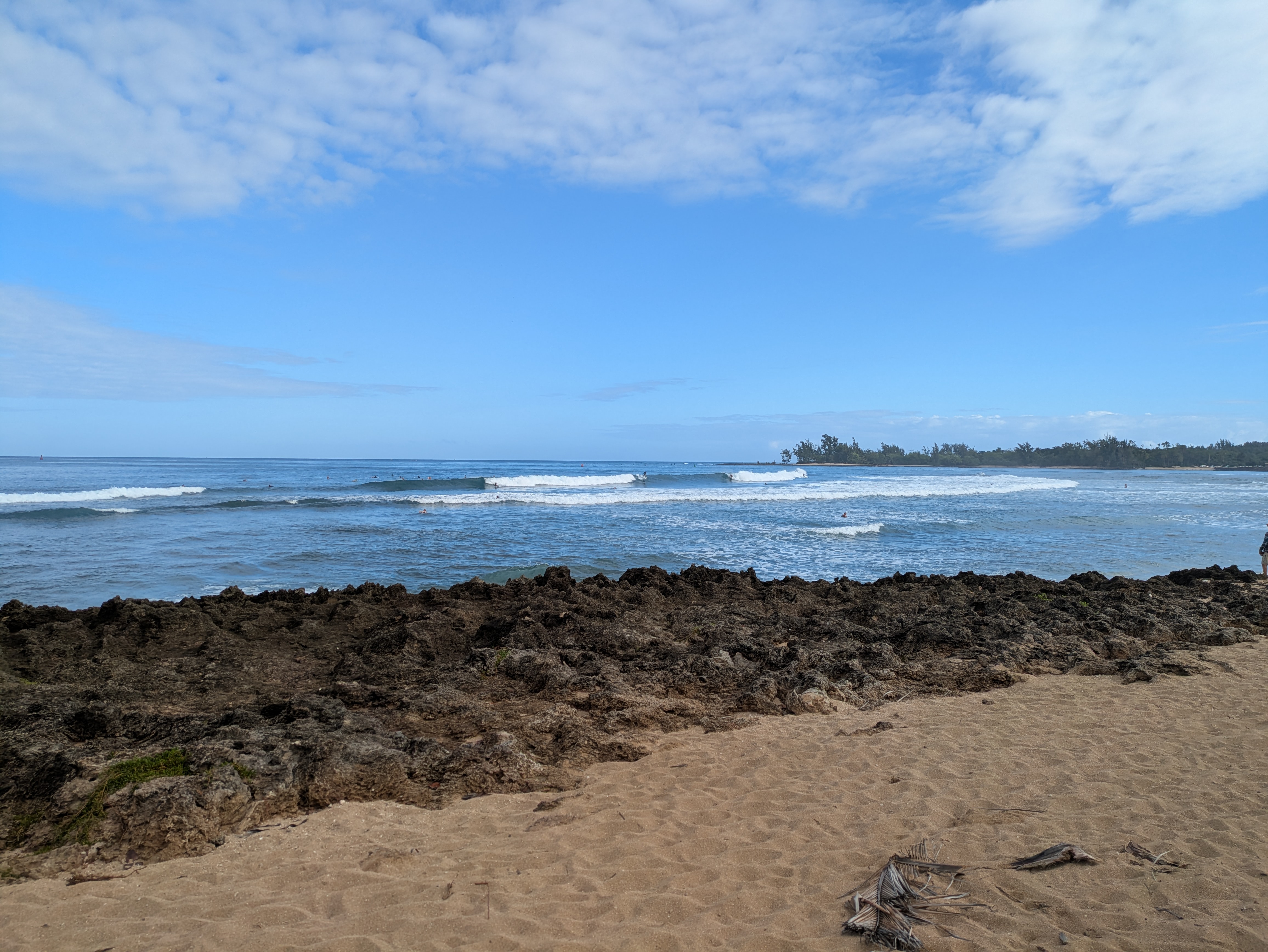 PXL 20250222 190124336