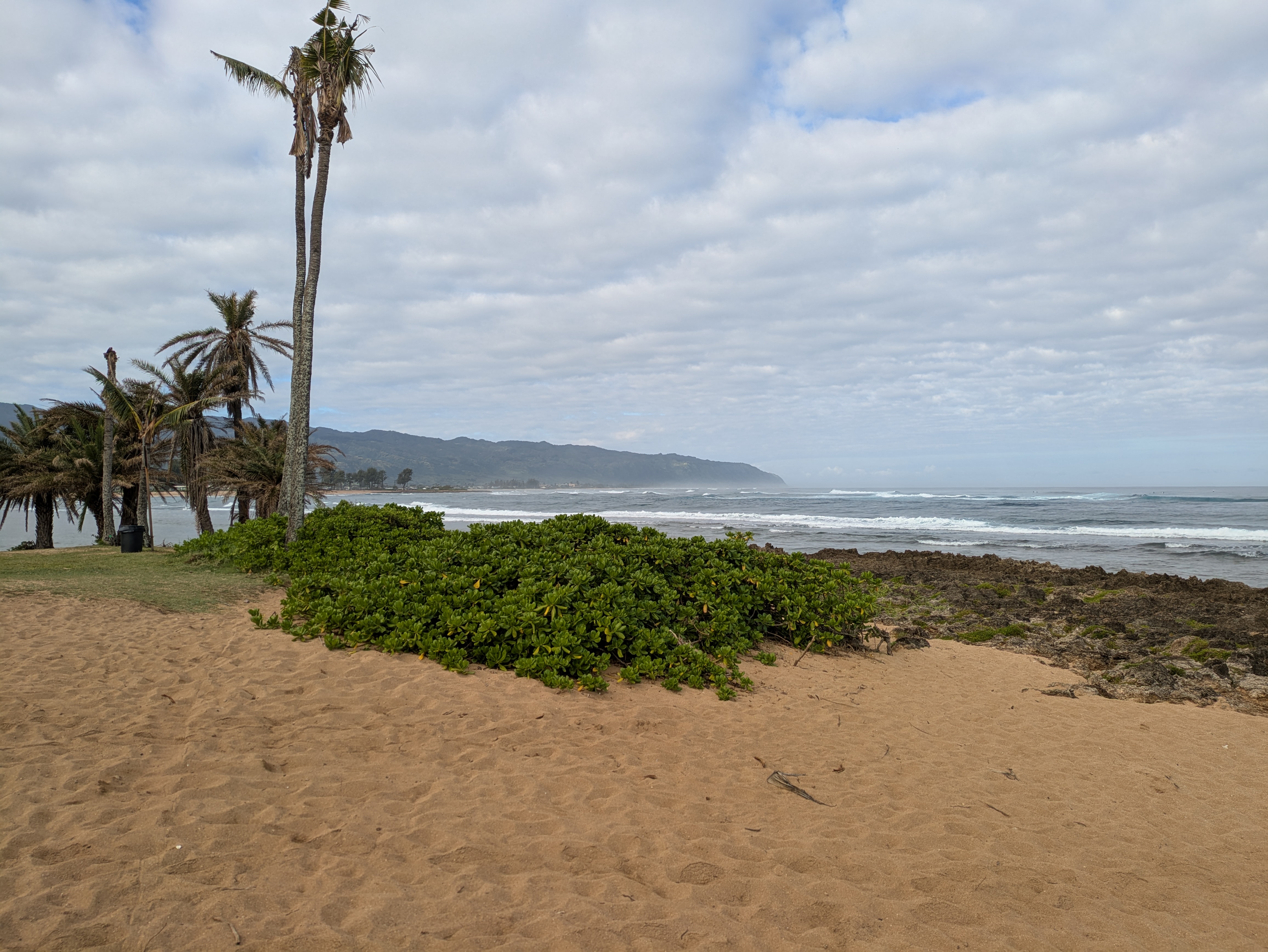 PXL 20250222 190140394