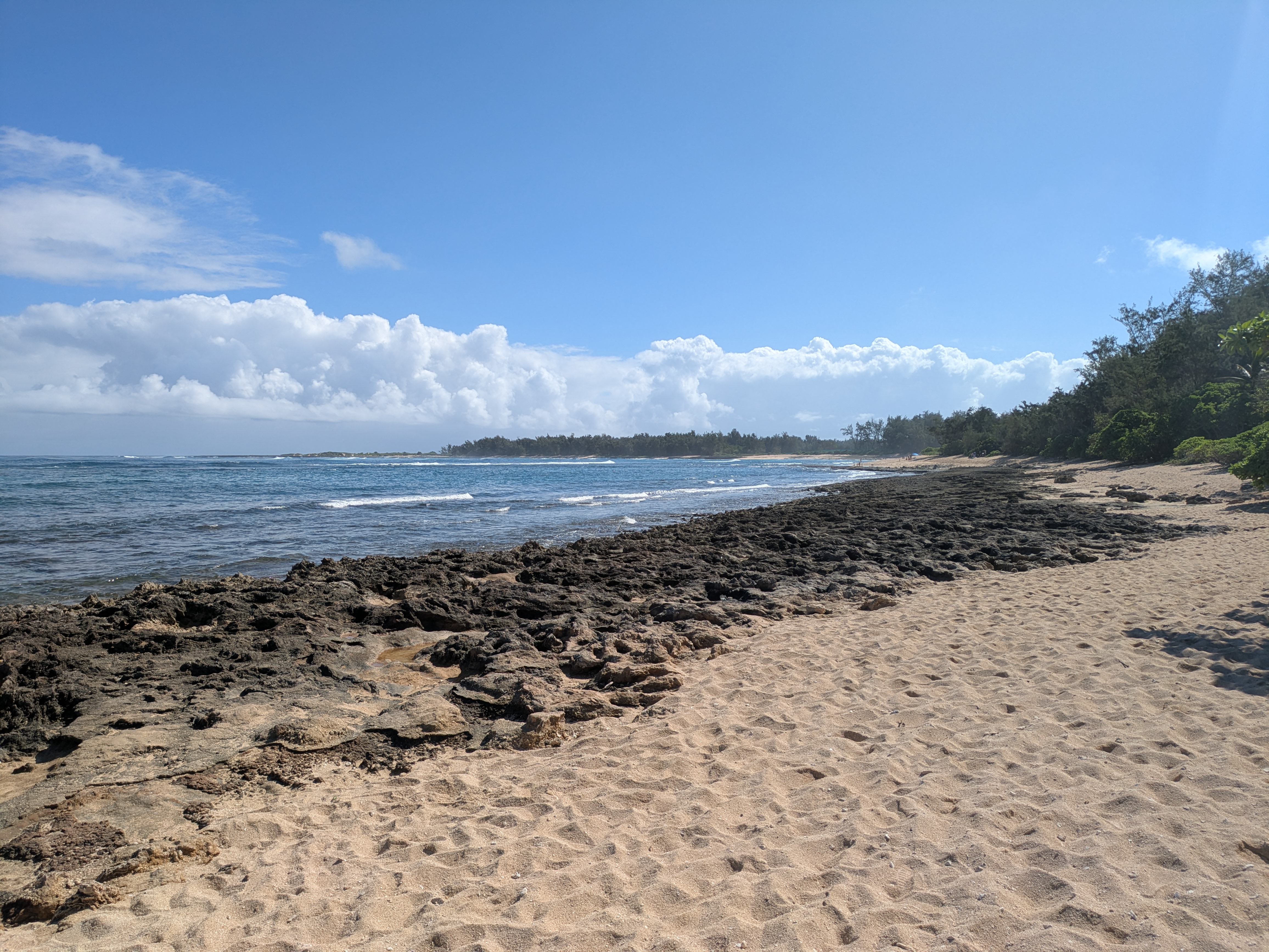 PXL 20250222 204133453