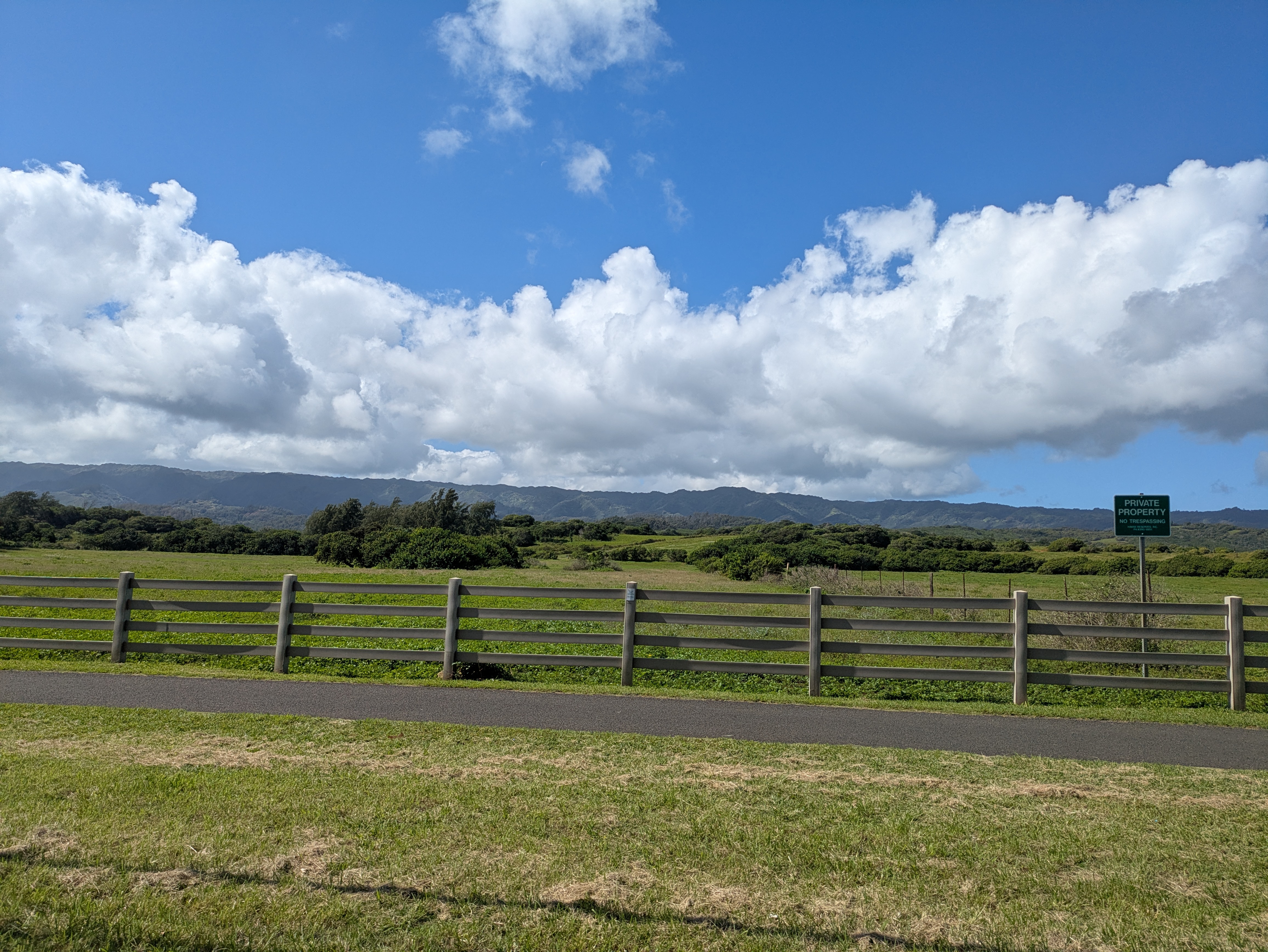 PXL 20250222 210606187