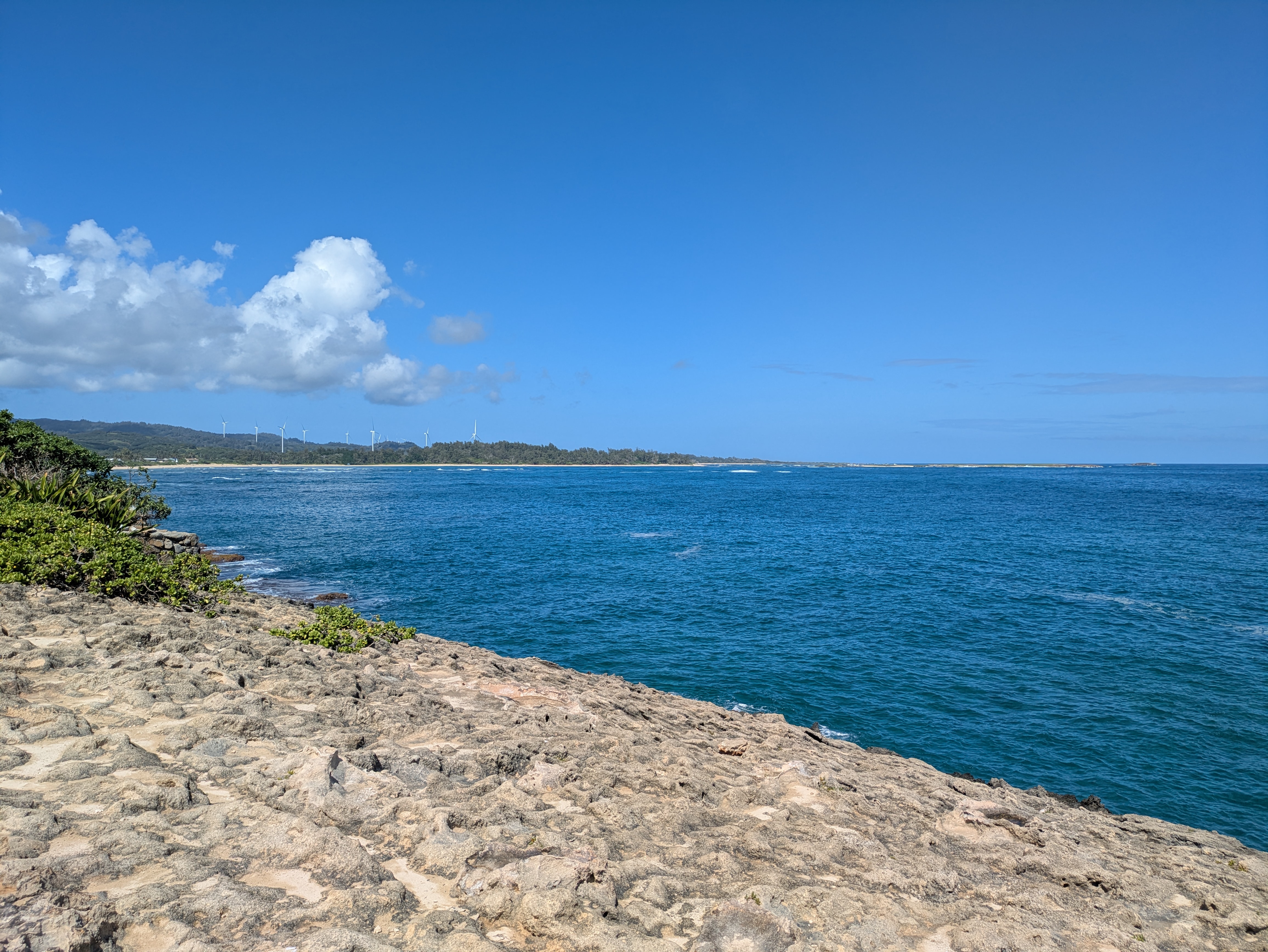 PXL 20250222 211649391