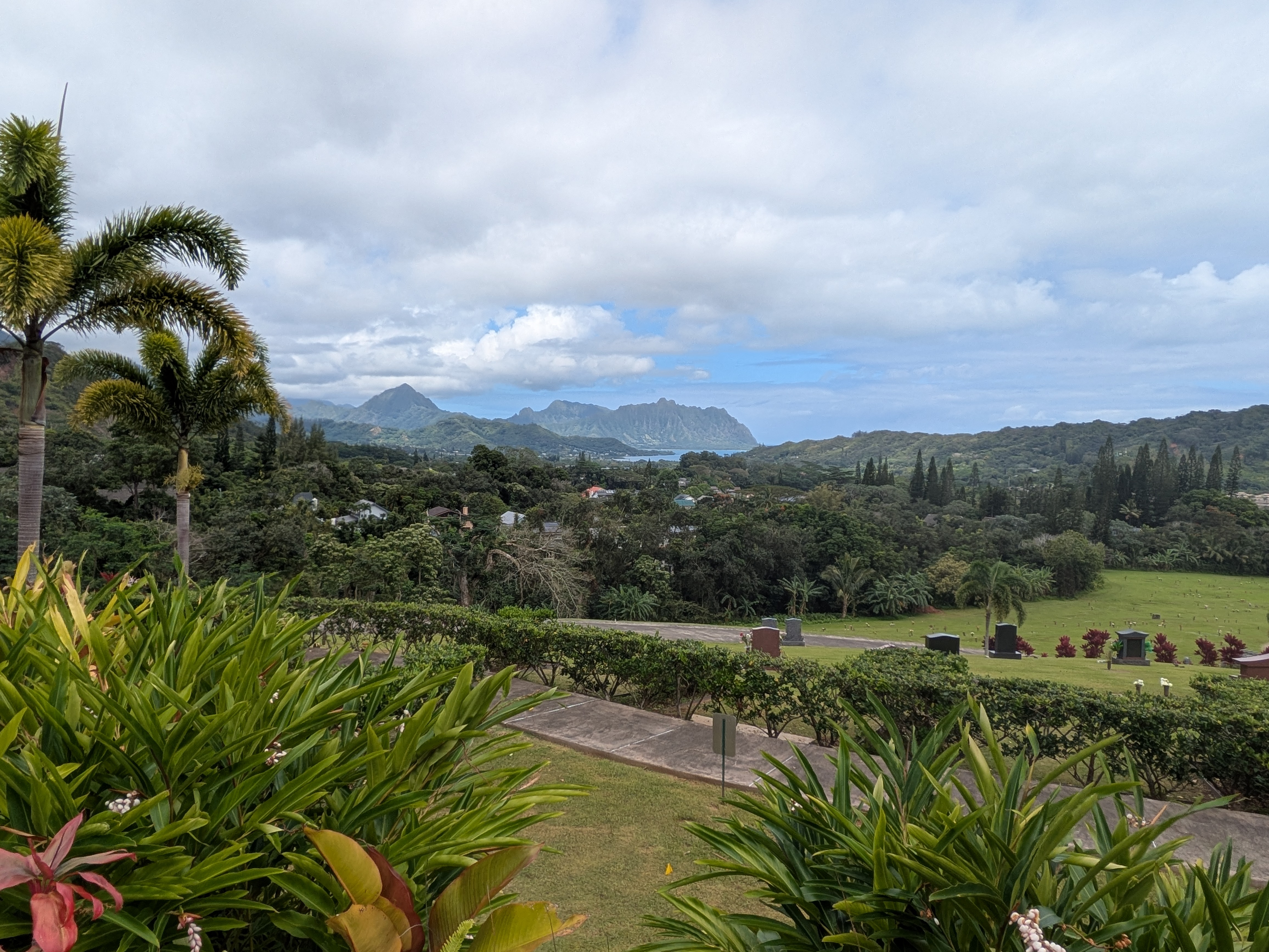 PXL 20250222 223754840