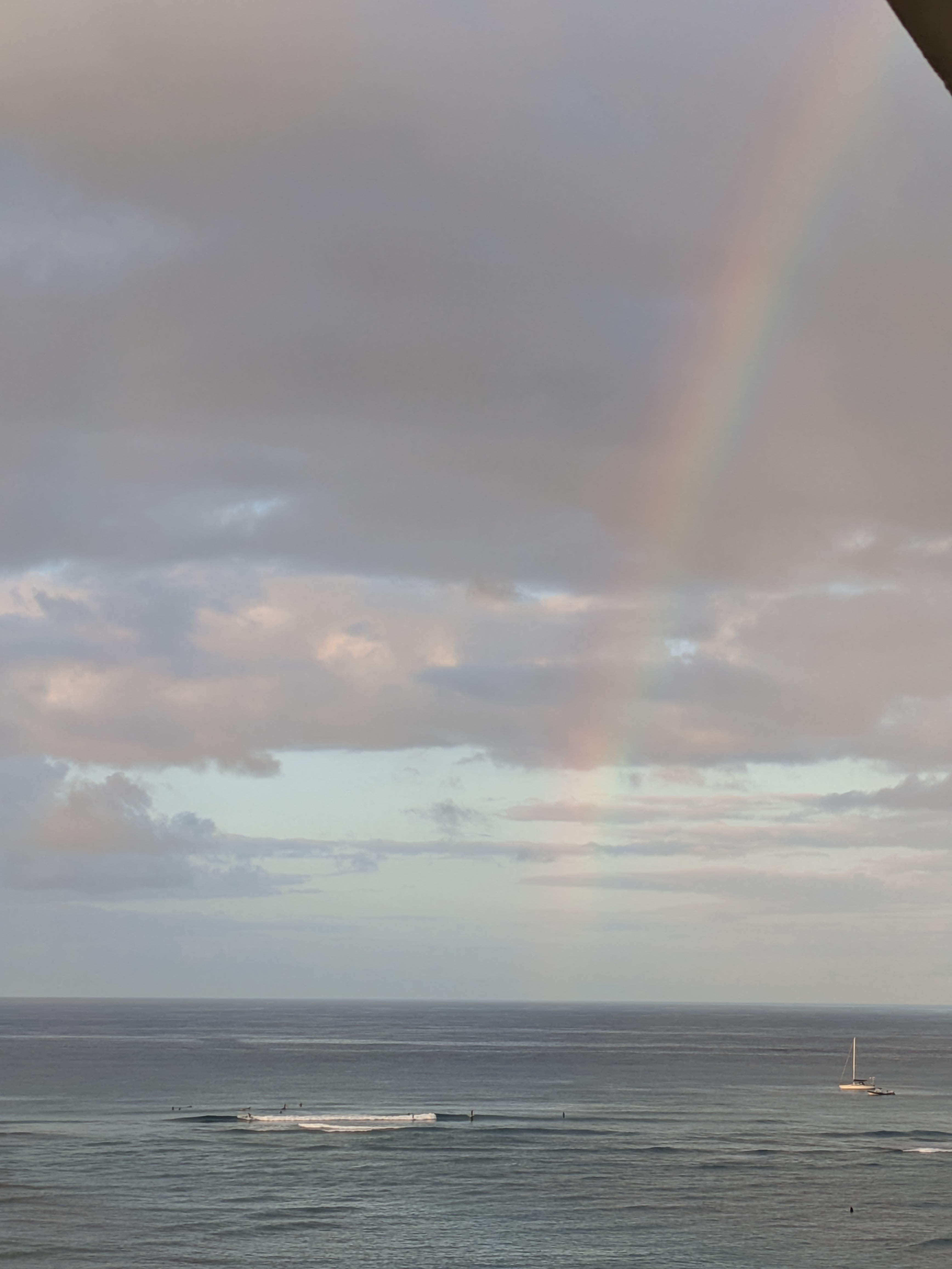 PXL 20250223 171734393