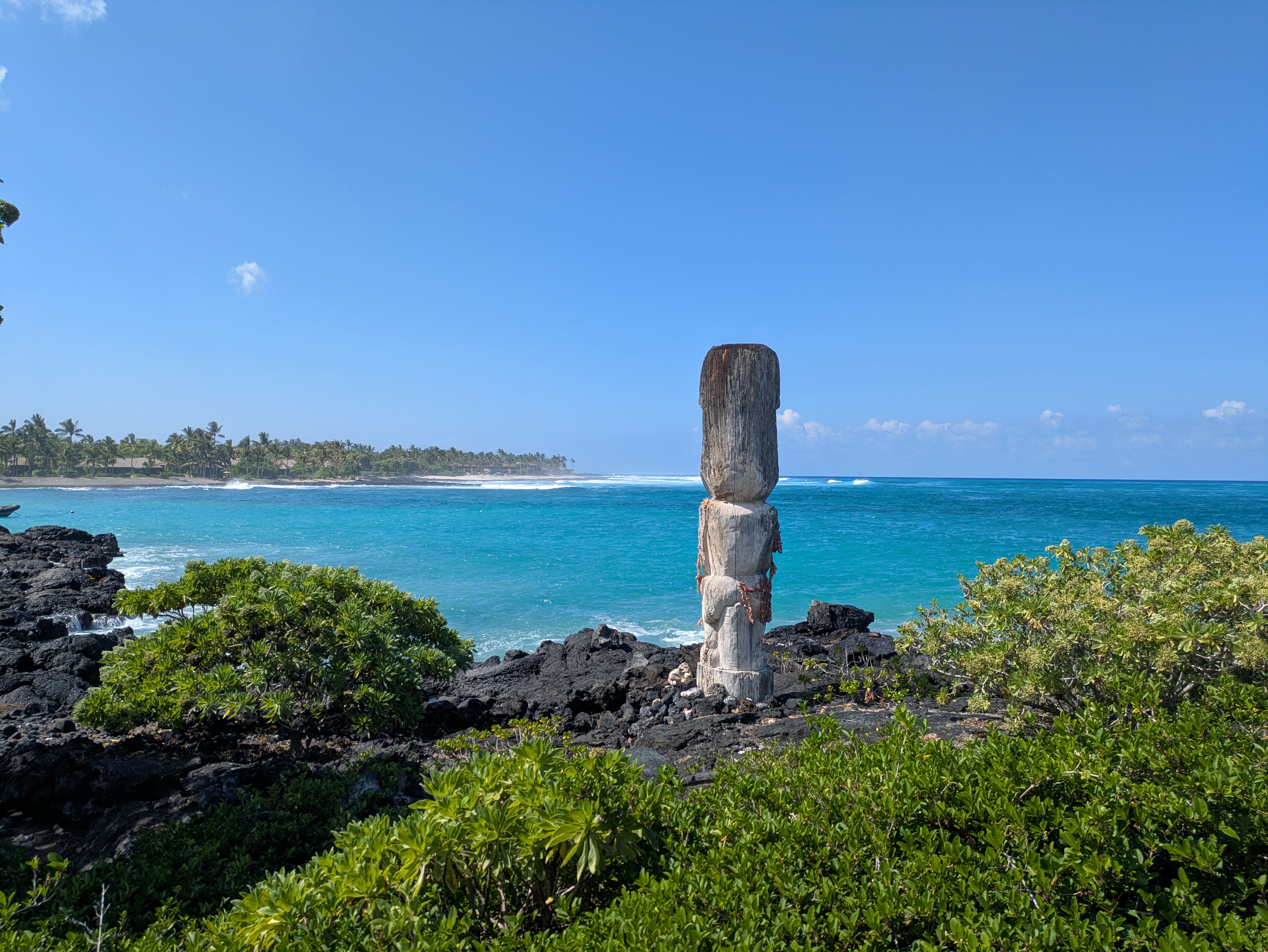 PXL 20250224 210307973