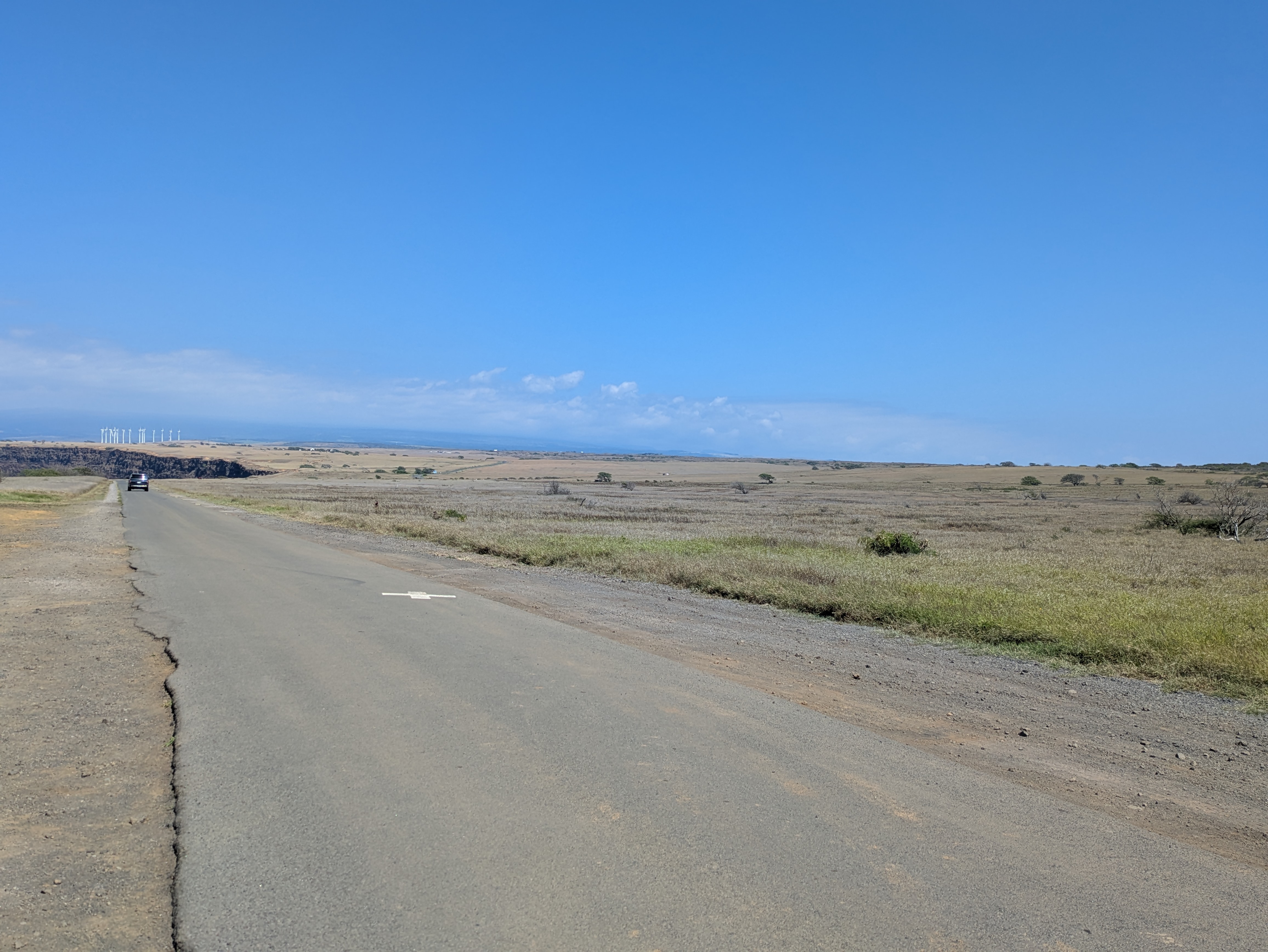 PXL 20250225 212015947