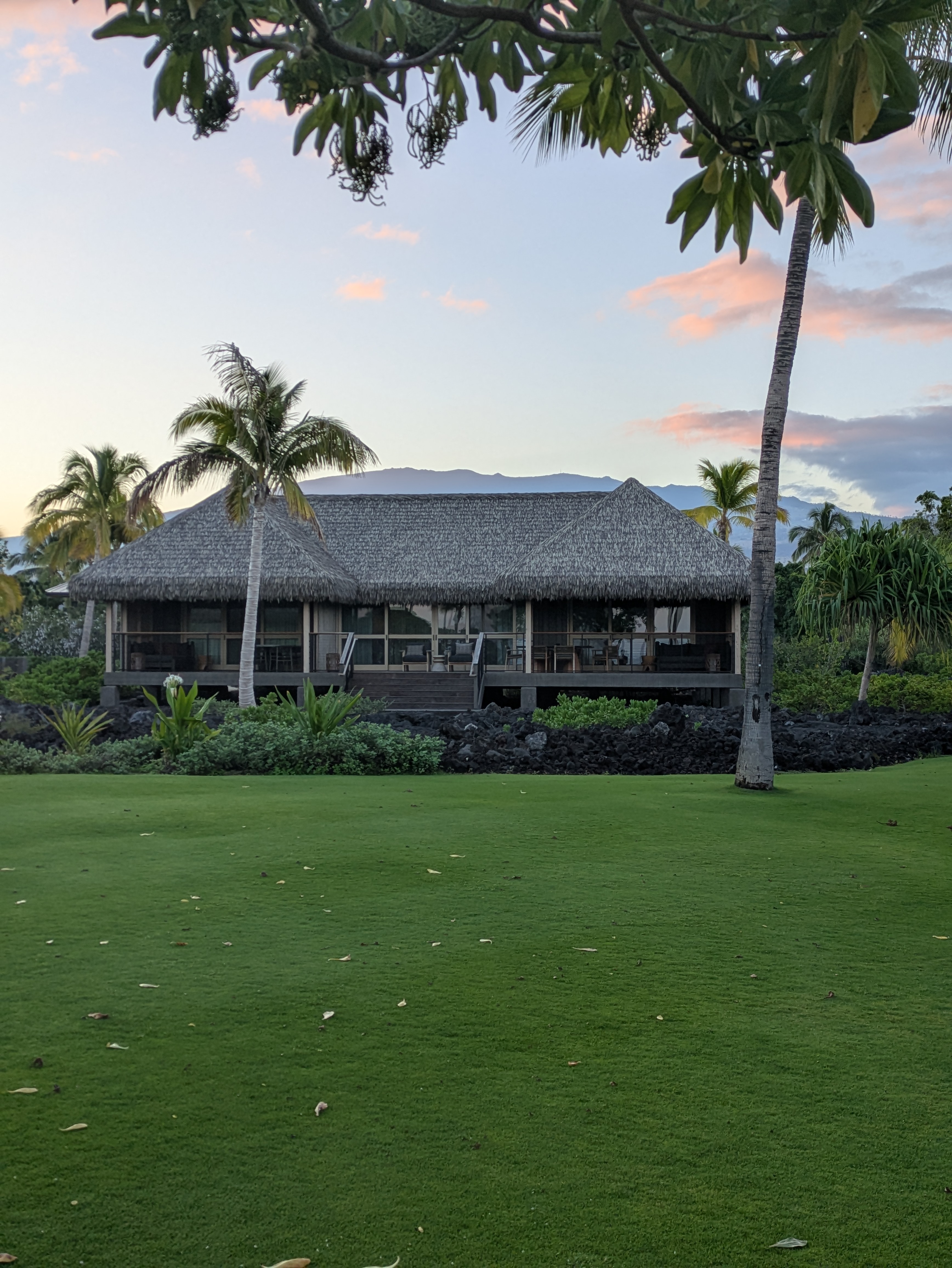 PXL 20250226 165050669