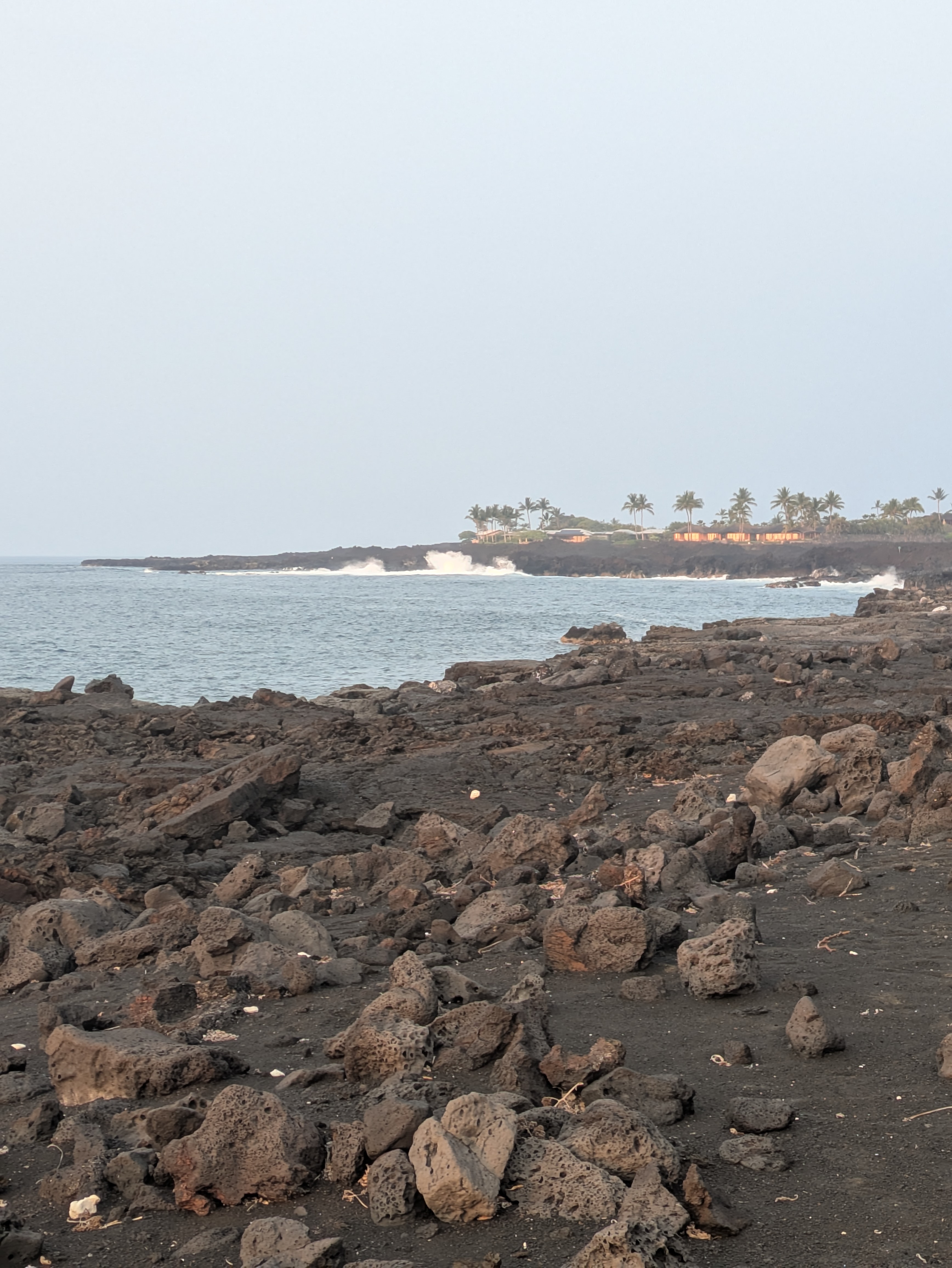 PXL 20250228 041415225