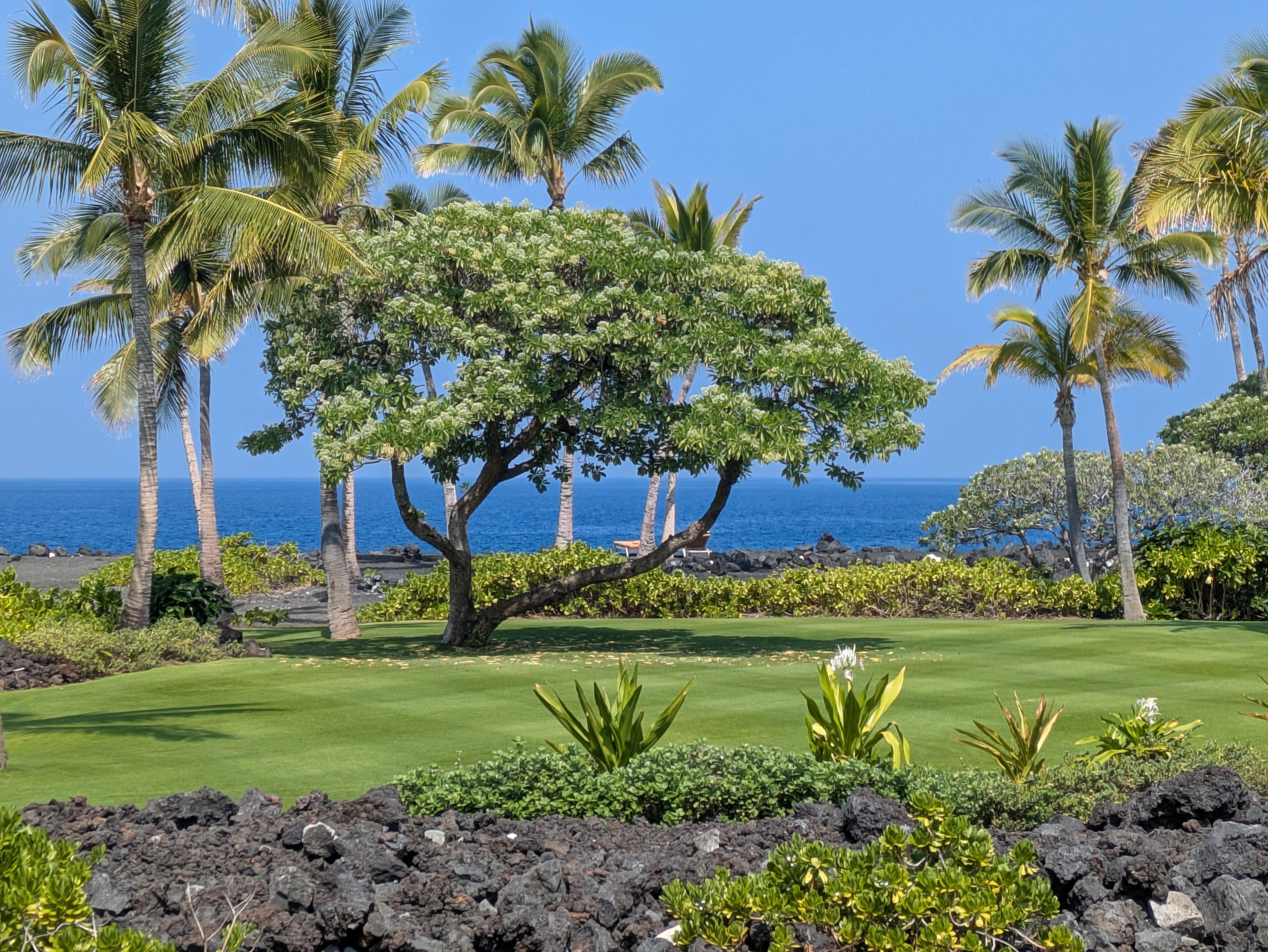 PXL 20250228 211721078