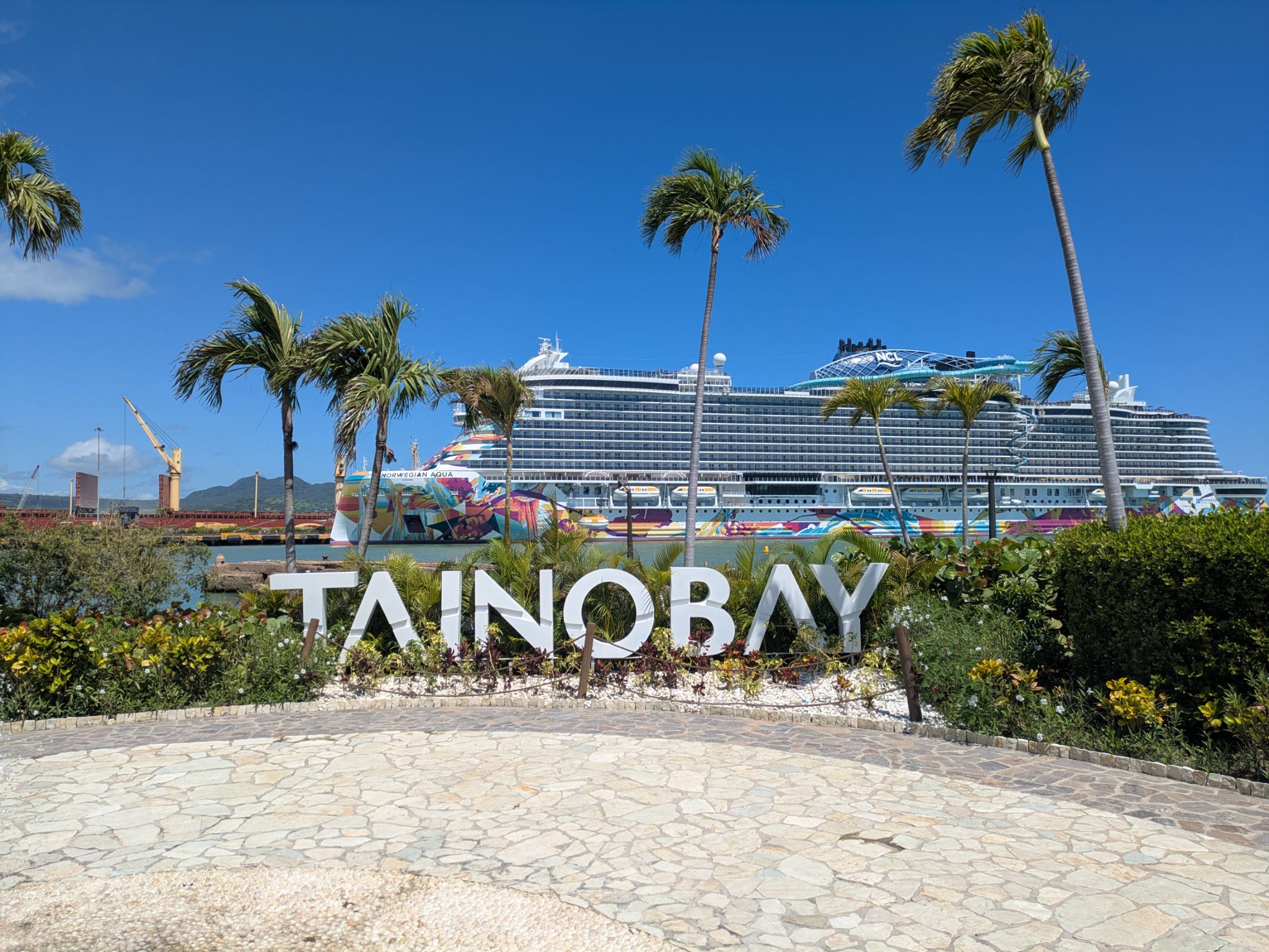 PXL 20250505 144644870