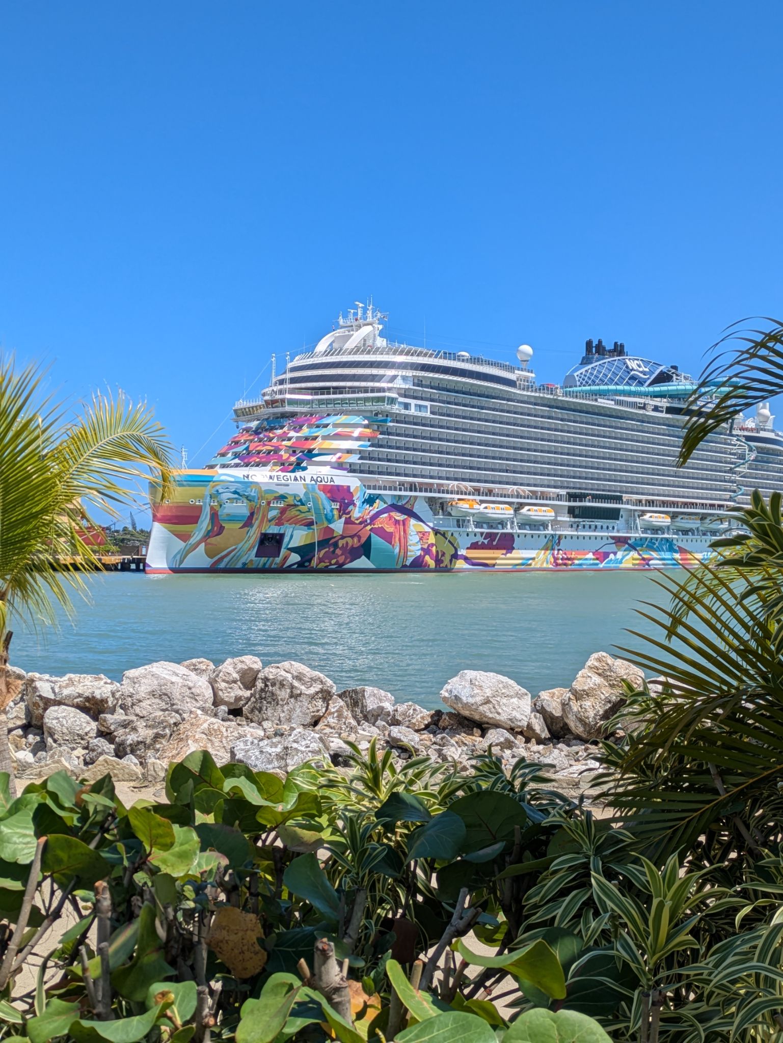 PXL 20250505 145249796