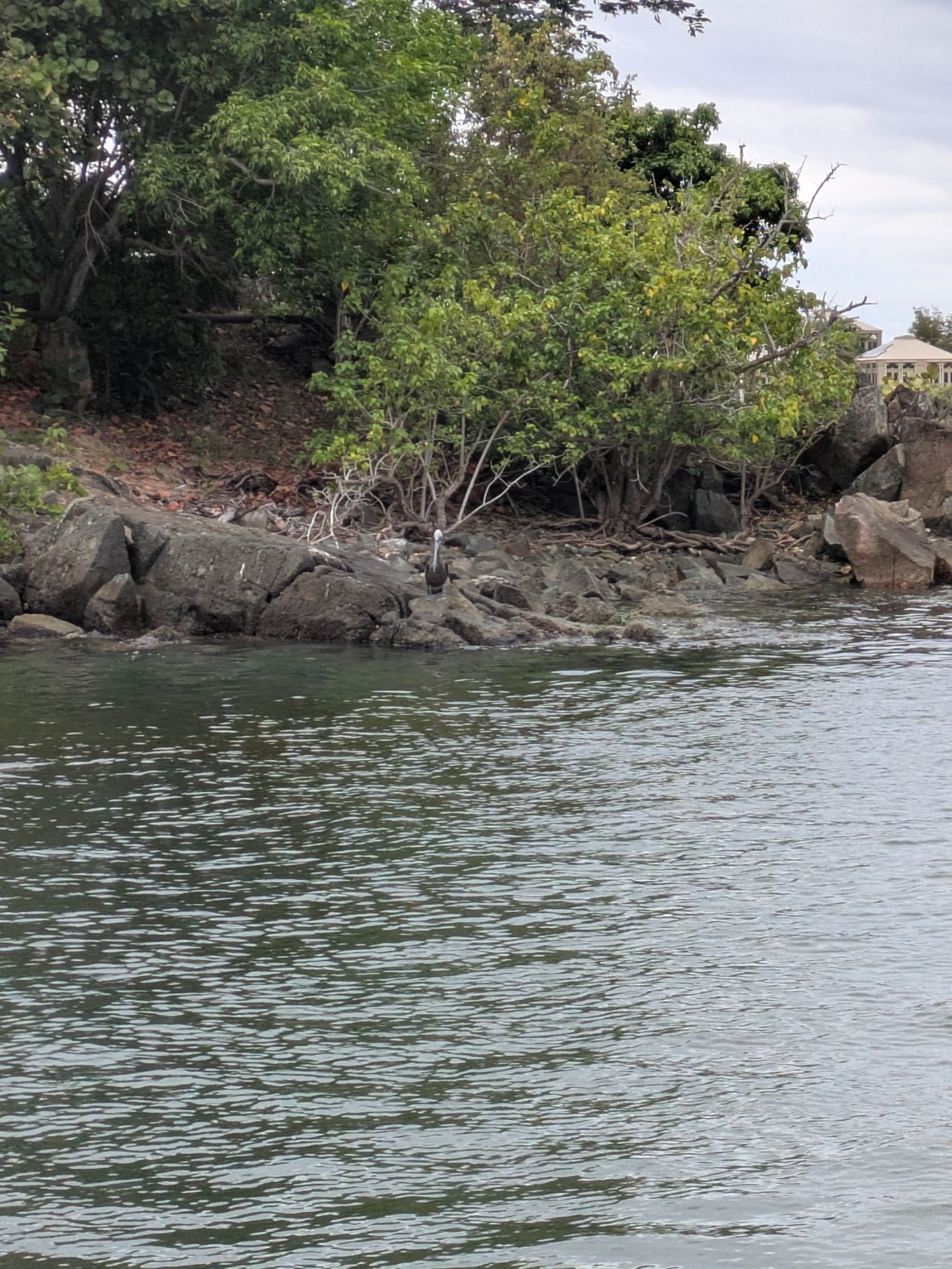 PXL 20250506 170450253.MP