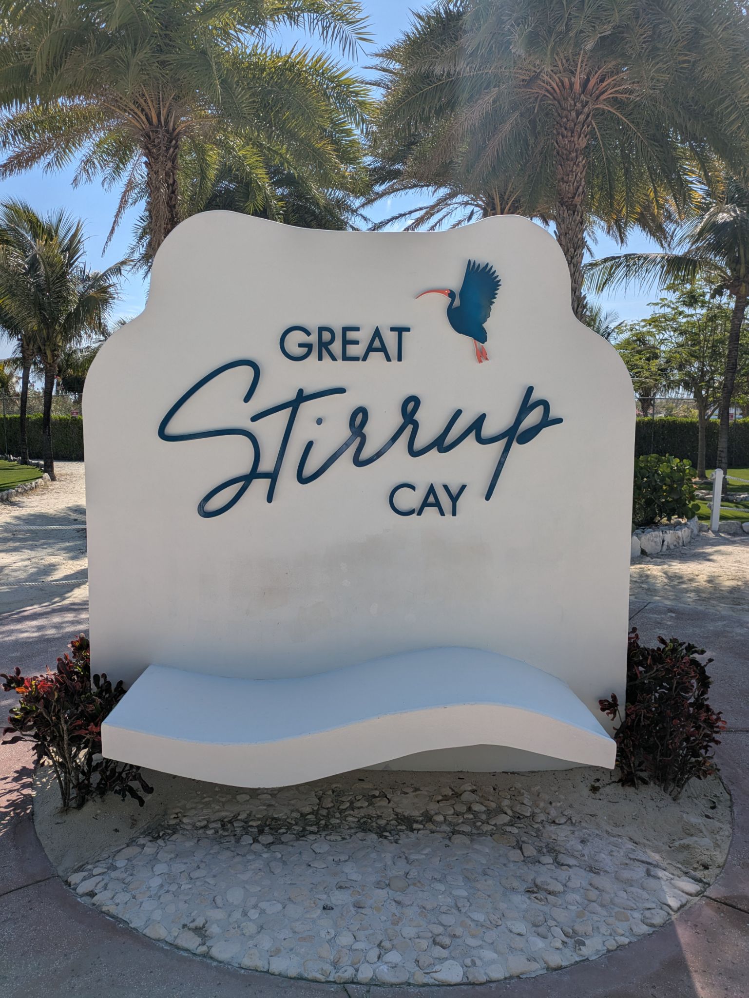 PXL 20250509 142008126