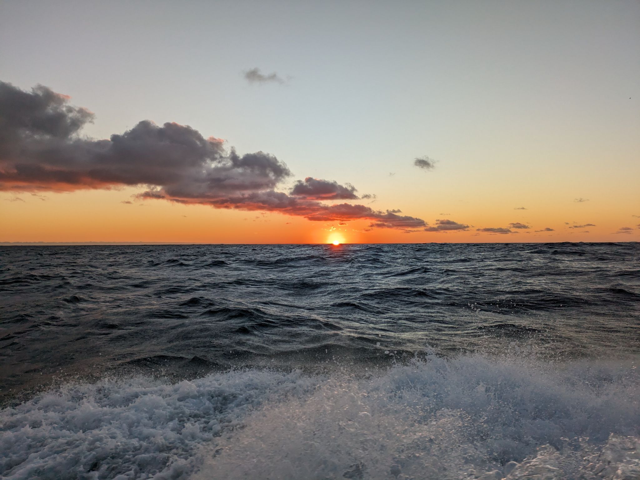 PXL 20240202 135926362